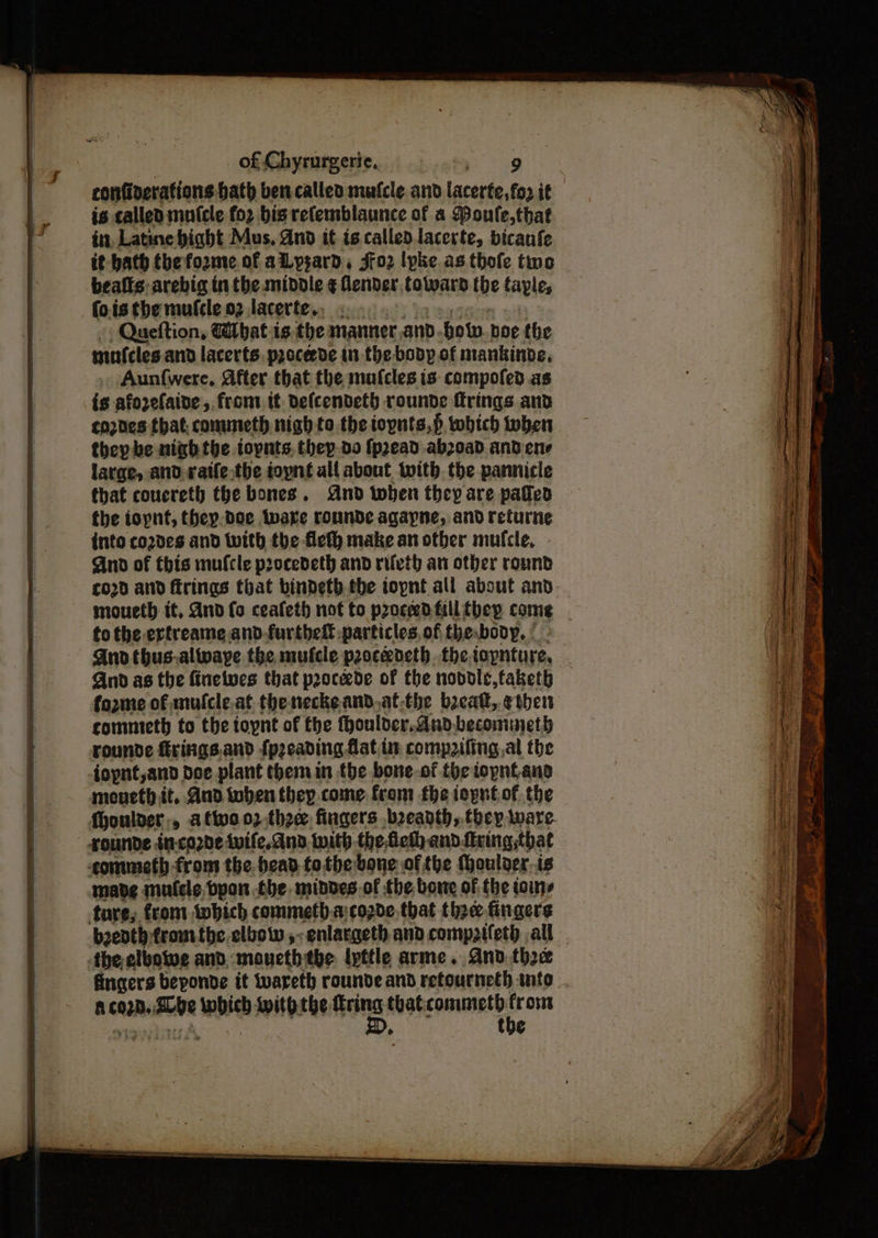 wee of Chyrurgerie, 9 confiverations bath ben called mufcle and lacerte,fop if is called mutcle foz bis refemblaunce of a Moule,that int Latine hight Mus, dnd it is calledlacerte, bicanfe it bath tbefo2me of allysard, sfo2 lpke as thofe two bealts: arebig inthe midole ¢ ender. toward the tayle, fo.is the mufcle 02 lacerte., Queftion, What is. the manner, and how poe the mufeles and lacerts. procede in the body of mankinde, . Aunf{were. After that the mafcles is compofed as is afozelaide,.front it defcendeth rounde ftrings and cozdes that. commeth nigh to the iopnts,p which when they be nigh the toynts, they.da fp2ead abzoad andene large, and ratfe-the toynt all about with. the pannicle that coucreth the bones. And twbhen they are pated fhe toynt, thep.doe ware rounde agayne, and returie into co2de9 and with the ficth make an other mufcle, - Ano of this mufcle procedeth and riivth an other round £020 and firings that bindeth the toynt all about and. moueth it, dnd fo cealeth not to procedfillthey comig to the ertreame and-furthell particles, of the body, © . Qno thus-.alwaye the mufcle poceocth the iopnture. Gnd as the finetwes that poocede of the novole,faketh forme of mulcle.at the neckeand.at-the breatt, ether commnicth to the ioynt of the fhoulder.and.becomimeth rounde frings.and fpzeading flat im comp2iling,al the iopnt,and doe plant then in tbe bone-of theiopntano moueth it. And when they come. from fhe ioyntof the Moulder, attya 2 thee: fingers beanth, they ware- rounde incozde twife,And with the fet) and: firing,that commeth from the bead tothe bone of the Moulaer.is made mufele. byon the, middes.of the bore of the tons tare; from which commeth.arcogde, that thee fingers b2enth fromthe elbow ,; enlargeth and comppifeth ,all the elbotve and. moueth the: lyttle arme. And thee fingers beponde it tuareth rounde and refourneth into > the
