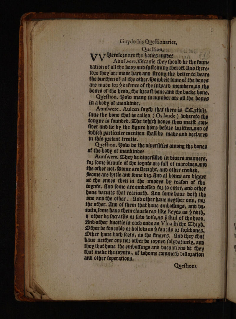 : Queftions sin) 6 es oye , VV Betefore are the bones mater... / | Auntwere, Bicaufe they thould be the fours fore they are made bardand rong the better to beare the burthen of al the ofver.Bowbeit fome.of the bones are made fo2 ) defence of the inward, members,as the bones of the bead, the b2eatt bone,and the backe bone, Queftion, Bow many in number are all the bones in abody of mankinde, . ’ Aun{were, Auicen fayth that thereis CC. rlbiif. tongue is founded. Wie which bones thon matt. cone fiver and fe by the figure bere befoze {uzitten,and of ' Ibich particuler mention thallbe made.anv declared in this poefent treatie. . Queftion, Bolu be the dinerfittes among the bones of the body of mankinde? : ’ Aunfwere, hep be diuerfified in divers manners, fo2 forme bicaufe of the topnts are full of marolives,and the other not. Some are freight, and other craked, Some are lyttle anv fome big. And al bones are bigger at the endes then in the middes by reaton of the fopnts. And fome are emborfen fo2 to enter, and otber Dave dacuits that receineth. And fome baue both the one and the other. And other bane nepther one, no? the other. And of them that baue embottings, and bas suits,fome haue them clauelares like keyes as pteth, € other be facratits 02 falw wile,as.§ fkul of the bead, Andother knottie it each ende as Vina in the high. Dther be foucable 07 hollow as § faucils o> fozkbones. Other baue both fozts, as the fingers. Ano they tbat Daue neither one oz other be iopned folpdatiuely, and thep that baue the emboffings and vacuations be thep that mate thetopnts, of ubome commeth Didozation and other {eperations, Eris, Queftions