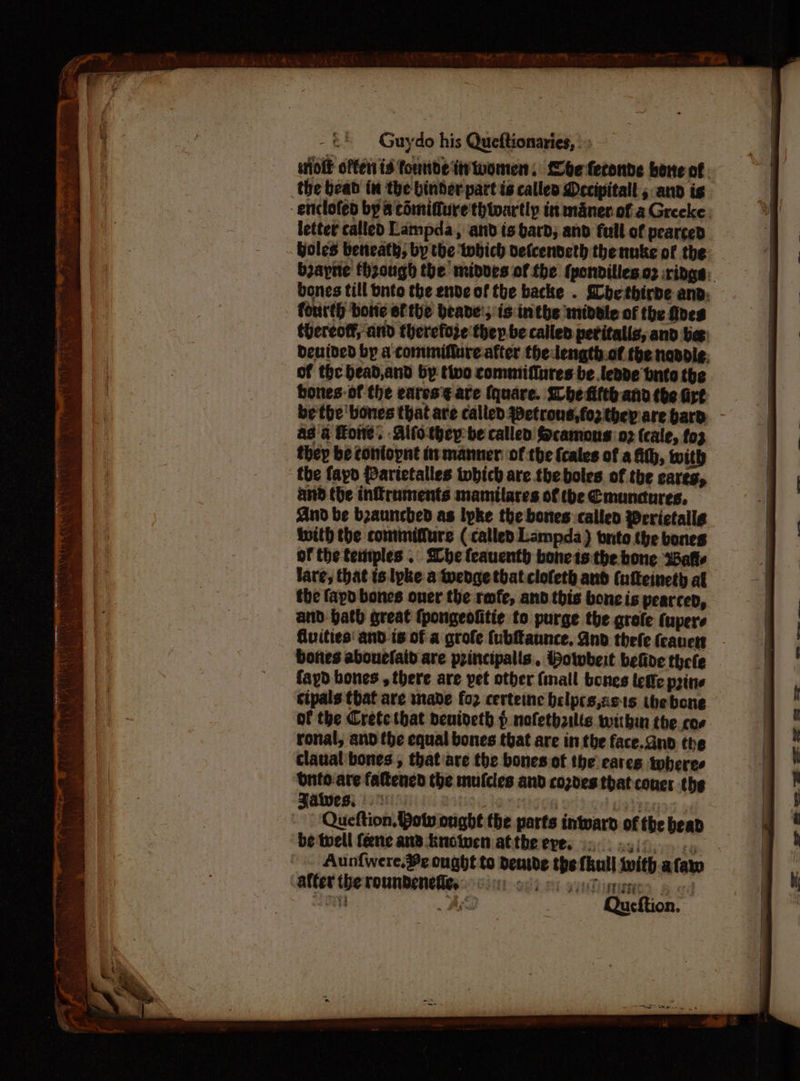 the bead in the binder part is calles Decipitall ; and is letter called Lampda, and is bard; and full of pearced fourth bone ef the beade'; is inthe midvle of the fines of the bead and by tivo commiffures be .lende bnito the as a Hone. Alfo they be called Scamous 02 (cale, fo3 they be confopnt in manner of the fcales of a fh, with the fapd Parietalles twbich are the boles of the cares, and the inframents mamilares of tbe Cmuncdures, And be beaunched as lyke the bones called Werictallg with the commiffure (called Lampda ) onto the bones of the temples . She feauenth bone ts the bone wWafie fare, that is. lpke a wenge that clofeth and (ufteineth al the fapd bones oner the reofe, and this bone is pearced, and- path great {pongeoflitie to purge the grofe (upere bones abouefaid are principalis., owwbeit belive thee fayd bones , there are yet other (mall bones tele prine cipals that are made fo2 certeine belpcs,aets the bone of the Crete that deniveth § nofethrilts wibin the coe ronal, and the equal bones that are in the face.Gnd the claual'bones , that are the bones of the cares wheres bnfo-are faftencd the mufcles and cozdes that couer the Jalwes, ‘3 Be thll PTR i Qucftion. ee me ee SS SS sss =