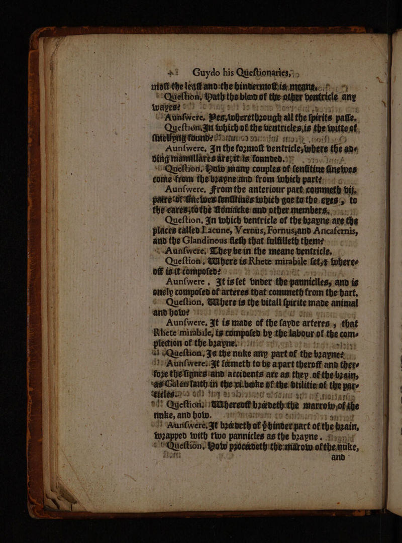 eae the bindernto@is: meatitte:;!.. Qieltion, / Daththeblan ot te athe boric any ivaipes? ©) Aunfwere, es; wheretbzough all the fpirits patte. - Queftioni Sit twhich ofthe beutricles,ts bi? Silt of. @found2 uwies IOC Migs Aunfwere, ¥n the formoft bentrilinbete te ae bing manmllares tesitiis founded.) ‘iQuefltion) Hold many couples of fentitine finewwes come from the beapneiand from iwbich parts: « Aunfwere, Fromtbe anteriour part, commeth vif, pater Ghcines fonitines which goetathe.epes:; to ‘thecavesstothe Moniacke: and other members... . ‘Queftion, 3n which ventricle of thebzayne:are the places talled Lacune, Vernis; Fornusjand: Ancafernis, and the Glandinous flefh that fulftlleth them? \Aunfwere; bey bein the meane bentricle.. - Queftion Where is Rhete mirabile {ef;¢ toberee off istt-compofed2 ®. Aunfwere, 3tis fet bnver: the pauniciles, and is onely compoled of arteres that conuneth from the bart, © -Queftion, Wibete is the bitalt fpivite mabe animal ‘and bow? ©!) Aunfwere, xt is mabe of the fayde arteres 5 that ‘Rhete mizabile, tg compofed: by tbe: fabour of tba come plecion of the boayne.:.-/: shy ‘3 LQueftion, J¢ the nuke any part of the boeanets, 3 /Aunfweres:¥t femeth tobe apart theroff. and there fore the Tignes: ‘and accidents are as they ofthe bain, ecaterne atti thextbake of: the btilitiennt the pate Stelésinss ed} tng aish : °12 Qtieftion?: wetpecent baaroeth the minrcotn of take, andbow. .* : Aurifwere gt breneth of Shinergnct of the beain, tna ped with ttvo pannicles as the beapne. 214 a Dow proceadeth thesndrow ofthe, nuke, and >