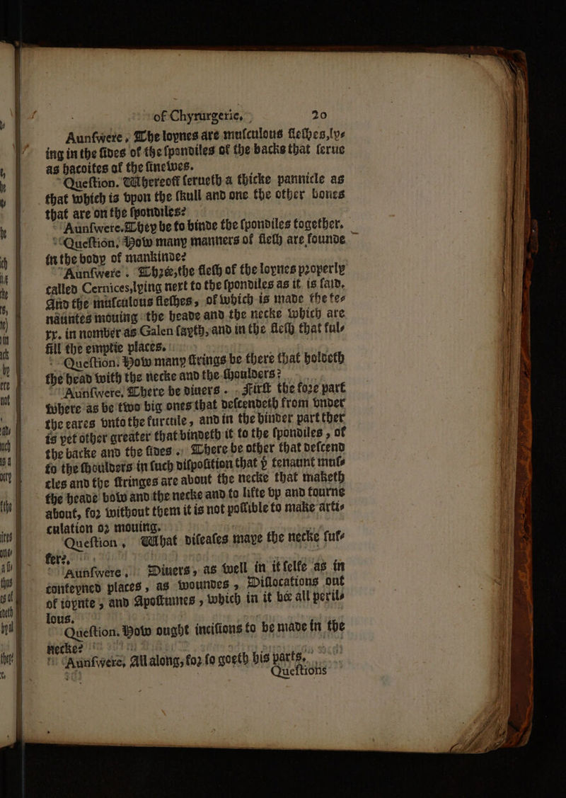 . — a as < TT han a eee _ Aunfwere, Mheloynes ave mufculous deihes,lye ing in the fives of the fpamdtles of the backs that {crue as hacoites of the finelves. “Queftion. WA hereott ferueth a thicke pannicle as that which is bpou the full and one the other bones that are on the fyontiles? fixthe body of mankinve? ’Aunfwere . Sh2ee,the fieth of the loyties properly called Cernices,lying ner to the fpondiles as it. is faid, Ano the mifcalous flethes, of which is made the fee nantes mouing the beade and the necke which are re. in nontlerag Galen fayth, and in the dei) that tals fill the emptie places. Queftion. Yow many firings be there that bolbeth fhe bead with the necke and fhe-Qoulders? ‘Aunfwere, SCbere be diners. - Sixt the fo2e part Libere as be tio big ones that pefcendeth from onder theeares butothefurcule, and in the binder part ther is pet other greater that bindeth i¢ fo the fpondiles , of the backe and the fines .. Shere be other that defcend fo the houlders in fuch pifpofition that p fenaunt mute cles and the fringes are about the necke that maketh fhe heave bow and the necke and to lifte bp and fourne about, for without them itis not yofible to make arte culation 62 mouitg. | ting Queftion, What difeates maye the necke fufe launfwere, Diners, as twell in itfelfe as in conteyned places, ag woundes , Diflocations ont of toynte , and Apottumes , which in it be all perils lous. ; ; Queftion. Bot ought incifions to be mave in the prechee 3 S071) Bisse ag ate ddl | i Aunfwere, Allalong, foz.fo goeth bis parts, + Queftions: