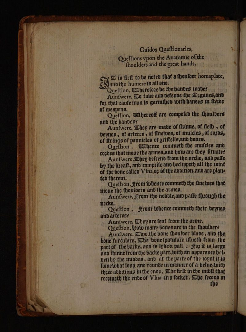 Queftions vpon the Anatomie of the fhoulders and the great hands, © is firtt to be noted that a Moulder homaplate, andthe humere ts all one. Queftion, Wherefore be thehandes made? for that caufe man ts garnithed with bandes in fede of weapons, 7 | Queftion. Wibhereoff are compofed the Mouldvers and the andes? : | Aunfwere. Shey are mane of fhinne, of fleth , of beynes , of arteres , of finewes, of mufcles , of co203, of ftrings of pannicles of griffells,and boties. Queftion. Whence commeth the mufcles and codes that mone the armes,and bow are they fituate? Aunfwere. Chey defcend from the necke, and pafle by the bzeaff, and comppife and beclippeth all the toint of the bone called Vina,o2 of the addition, and are plane ted therein. moue the fhouiders and the armes, | eat From fhe novdle,and pafle thzough the Mecke. Queftion , 3front tobetice'commeth their bepnes and arteres? | Aun{were, They are fent fronrthe.arme. . Queftion, Pow many bones are in the fhoulver? Aun{were. 2ino,the bone thoulber blade, and the bone furculate, he bone (patulare ifueth from the part of the batke, and is Ipte's pall. +: Jfo2 tf is large and thirthe fromthe backe part, with an apparance bole Denby the mindes, and at the parte of the toynt itis fometwhat long and rounde in manner of a belue, with three additions inthe ende , Whe firtt in the mtok that receinet) the endeof Vina ina focket. She fecond in the