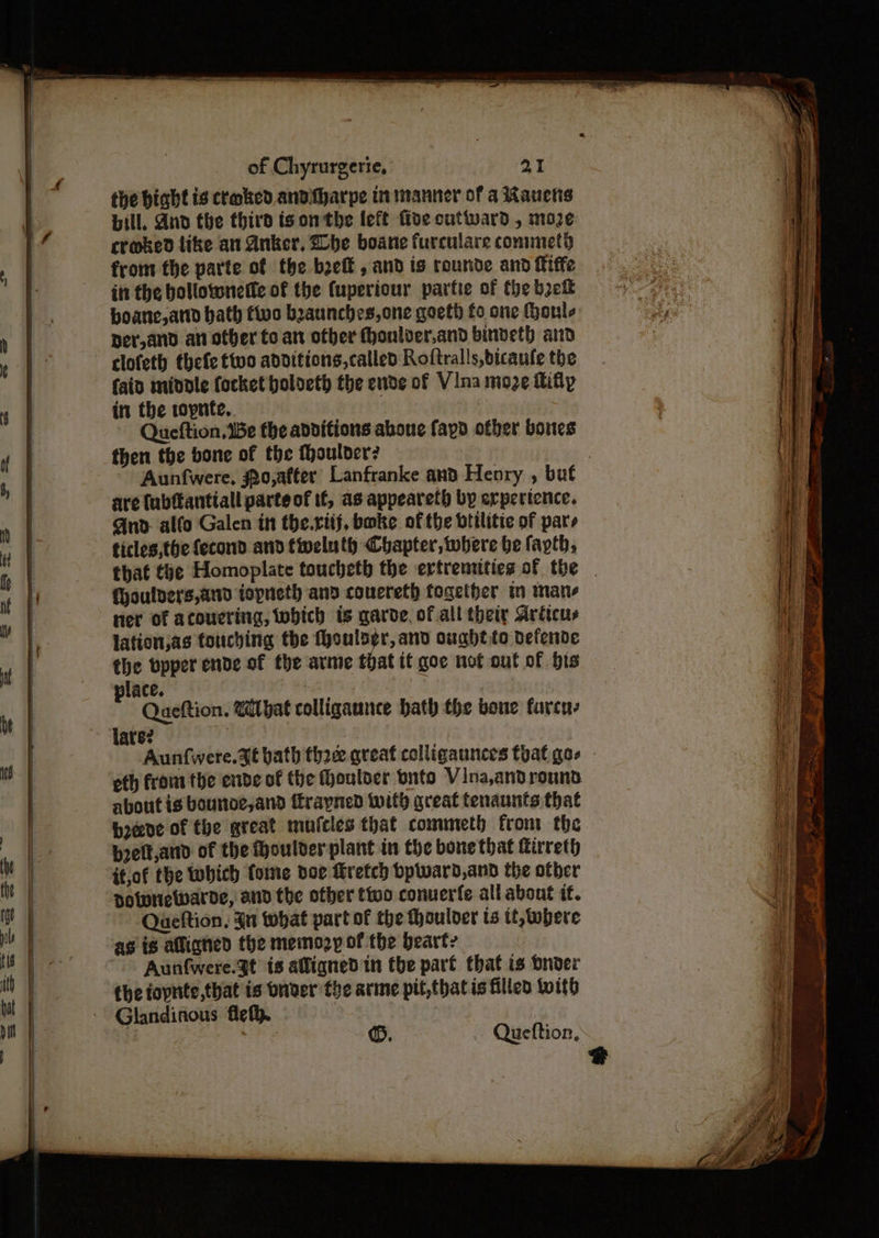 the bight is craked andifharpe in manner of a Rauens Hill, And the third is onthe left five outward, moe: croked like an Anker, Zbe boane furculare commety from the parte of the bzeit , and is rounde and fiffe itt the hollotoneife of the (uperiour partie of the bye boane, ato hath two beaunches,one goett) fo one (Houle Der,and an other to an ofber fhoulver.and binveth and clofeth thefe too additions,called Roftralls,bicaufe the fain middle focket holoeth the ende of Vina moze fifty in the topnte, Queftion.1Be the additions aboue fayd other bones then the bone of the toulder? are fubtantiall parte of if, as appeareth by erpertence. Gnd. alfo Galen in the.ritj, boke of the btilitie of pars ficles,the fecond and tiweluth Chapter, where be fapth, fhoulvers,and iopneth and couereth together tm mane ner of acoucring, wbich is garde, of all theiy Aritcus lation,as touching the fhoulsgr, and ought to defende the bpper ende of the arme that it goe not out of bis place. at 3 Queftion. What colligaunce hath the bone furcne late? Aunfwere. 3 bath thaee great colligaunces that gos oth front the ende of the Houlder onto Vina,andround about is bourne, and ffrayned with great tenaunts that boelt,and of the thoulder plant in the bone that tirreth it,of the Which Come doe Hretch bpward,and the other dolwnewarde, and the ofber ttoo conuerfe all about if. Queftion, Jn what part of the Houloer ts tt, where ag is alliqned the memozy of the heart, Aun fwere.3t is aligned in the part that is Dnoer Glandinous fle.