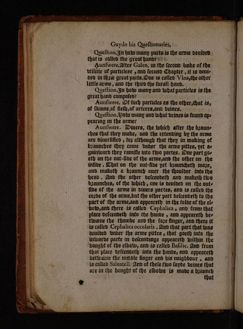 > Tee . = a7 ¥ E = | me ‘et Aaah * aS x a = ST, = —s ¥ a a 5 = s NTE DY py A POI Ae PRCA Guydo his Queftionaries, Queftion Jn bow many partois the arme denided thatis called the great band? tio &amp; Aunfwere, After Galen, in the fecond bake of the btilitte of particlese , and fecond Chapter , it is denis bed tn th2e great parts.Dne ts called V1na,the other little arme , and the third the furall Hann, Queftion,gn boto many and what particles is the gtcat band compofeo? Aunfwere, Of fuch particles as the otber, that 18, of {kinne,of fleth,of arteres,and beines. Queftion ety many and what beines is found aps pearing in the arme? Aun{were. Diuers, the tobich after the beauns ches that they make, and the ertending by the arme are Diuerfified , fo2 alfbough that they in making of beaunches they come bnder the arme pittes, yet ac gaintvard they ramtfie tnto tivo partes. Mne part gor eth om the ont-fide of the arme,and the otber on the inflde , Lhat on the out-fide yet beauncheth moze, and maketh a boaunch oner the fhoulder into the bead. And the other delcendeth and maketh tivo b2aunches, of the which, one ts denided on the onts fide of the arme.in diners partes, and is called the cozbde of the arme,but the other part defcendeth to the part of the arme,and appeareth in the folve of the els bow, and there ts called Cephalica, and from that place defcendeth info the bande , and appeareth bee tiene the thombe and the foe finger, and there if is called Cephalica occularis , Gnd that part that vas peutded onder the arme pittes » that goeth info the inwarbde parte in delcendinge appeareth within the bought of the elbow, and is called Bafilic. Gnd from that place defcendeth into the bande, and appeareth betiuane fhe middle finger and bis neiahbeur , and is calied Saluatell, Gnv of thefe two fapde beines that are in tbe bought of the elbowe is made a boaunch . that