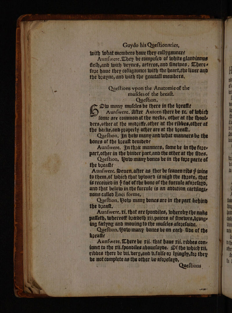 With fobat members haue they collpgaunce? Aunwere, Zbep be compofen of white glandinous fiefh,and with bepnes, arferes, and finelwes » Lheres foze bauc they colliqaurice twith the hearf,the liver and the boapite, and with tbe geartall members, Queftions vpon the Anatomicof the mufclesof the breaft. Queftion, Dw many mufcles be there in the beeafk2 Aun{were. After Auicen there be re, of tobich fonte are commonat the necke, otber at the fhouts ders, ofher at the midziffe,ofber at the ribbes,otber af tbe backe,and properly other are at the breaff, Queftion, Fn How many and tobat mauners be the bones of the bealk denuded? Aun{were, {nthe manners, fome be tn the fore. part,otber in the binder part,and the other at the fines. Queftion, Potv many bones be in the fore parte of the b2eatte - Aunfwere, Senet, after as ther be feauenribs $ toine to themt,of tobich that bpiward is nigh the thoote, that is receiued in § fot of the bone of the furcule afozefapo, and that below tn the furcule ts an adbition cartilagis nous called Enci forme, the beat, Auntwere, ri, that are fpondiles, inhereby (he nuke palleth, whereof boeedeth rij.patres of ftnelwes,bzinge ing frelpng and mouing to the mufcles afozefaine, : be cary ta many bores be on each: lide. of the geatte Aunfwere, Chere be rit. that bane rii, ribbes cons tune to the ri. fpondiles abouclapde. Df the which rii, ribbes there be bit. berp,and v.falle o2 lpinglp,fo2 they be not complete as the ofver be afozelapo, Queftions:
