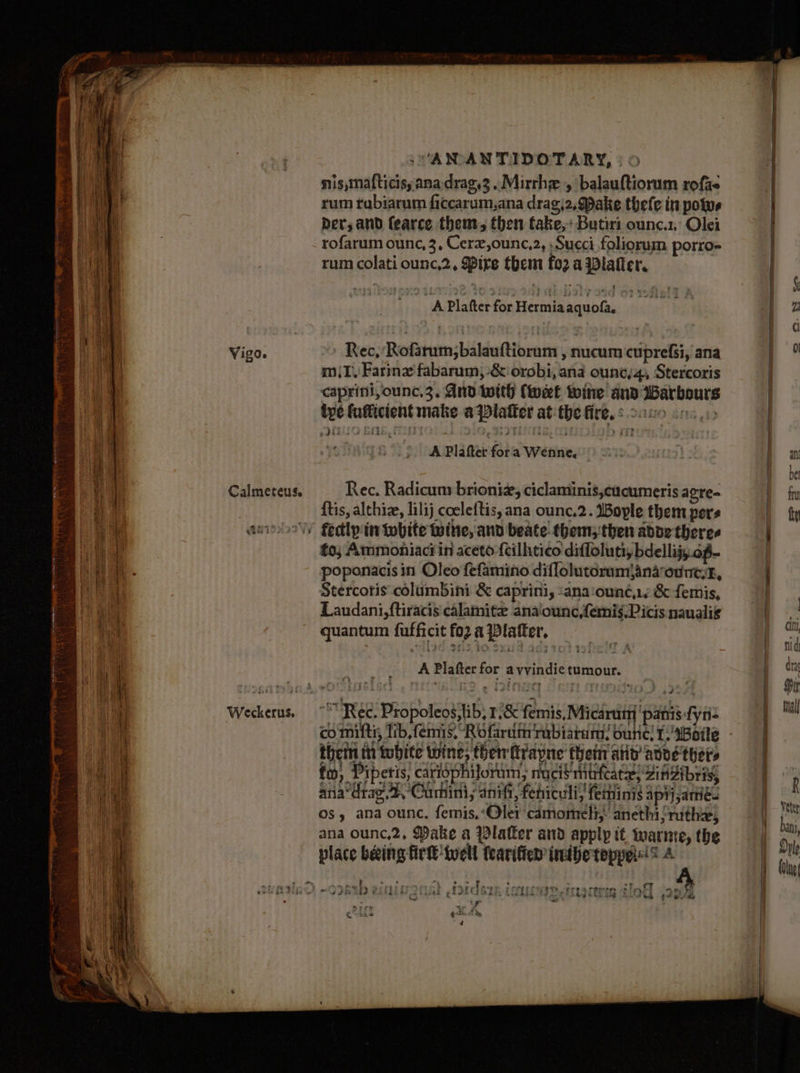 met ee oe Se arya Lee. Se eee Vigo. Calmeteus. ane esas? Weckerus, -AMWAN TIDOTARY, nis,mafticis;anadrag.2..Mirrhe , balauftiorum rofae rum rabiarum ficcarum,ana drag\2, ake thefe in pots Der; and fearce them, then fake, Butiri ounc.1, Olei rofarum ounc, 3, Cerz,ounc,2, ;Succi foliorum porro= rum colati ounc,2, Spire them fo2 a wiafler. ' Rec, ’Rofarum,balauftiorum , nucum cuprefsi, ana m1. Farin fabarum, -&amp; orobi, ana ounc,4, Stercoris caprini,ounc,3. And with (tweet tine and Warbours tye fufficient make a {platter at the fire. s20v0 cos Rec. Radicum brioniz, ciclaminis,cucumeris agre- {tis, althize, lilij coeleftis, ana ounc.2. IBople them pors to, Ammonhiaci in aceto {cillitico difloluti, bdellijy. of- poponacis in Oleo fefamino diflolutcrum|Anaroune:k, Stercoris colambini &amp; caprini, :ana‘ouné,1, &amp; femis, Laudani,ftiracis calamite ana‘ounc,femis-Picis nauali¢ quantum fufficit fo2 a Plater, A Plafter for a vvindie tumour. thetti tt tobite wine; ther ftrapne then aiid Advetyer, fo, Pipetis, cariophijorim, nuciS mitrfeate; Zit Zibriy, aria’ drag,2,Cumini; anift, feniculi, feminis apij;amé. Os, ana ounc. femis,-Oler camomelt,- anethi{nithx, ana ounc,2, Make a Platter and apply it. warme, the place being fir well {earifier imibereppele!s A ? p *s FPSELT TOPIC eres cern asl, uN arn , “ean tigi iat la = ae a — ~