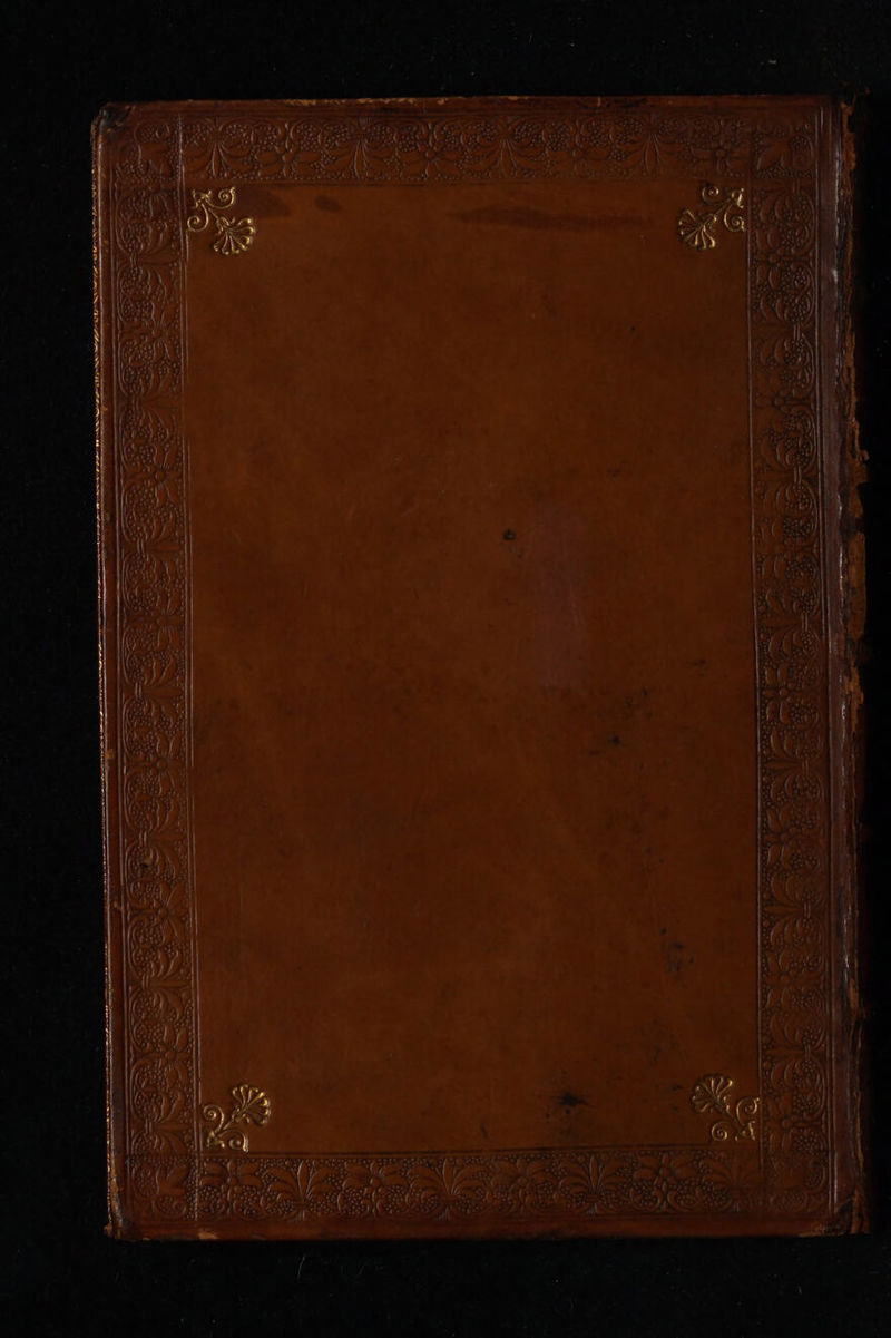 No text description is available for this image