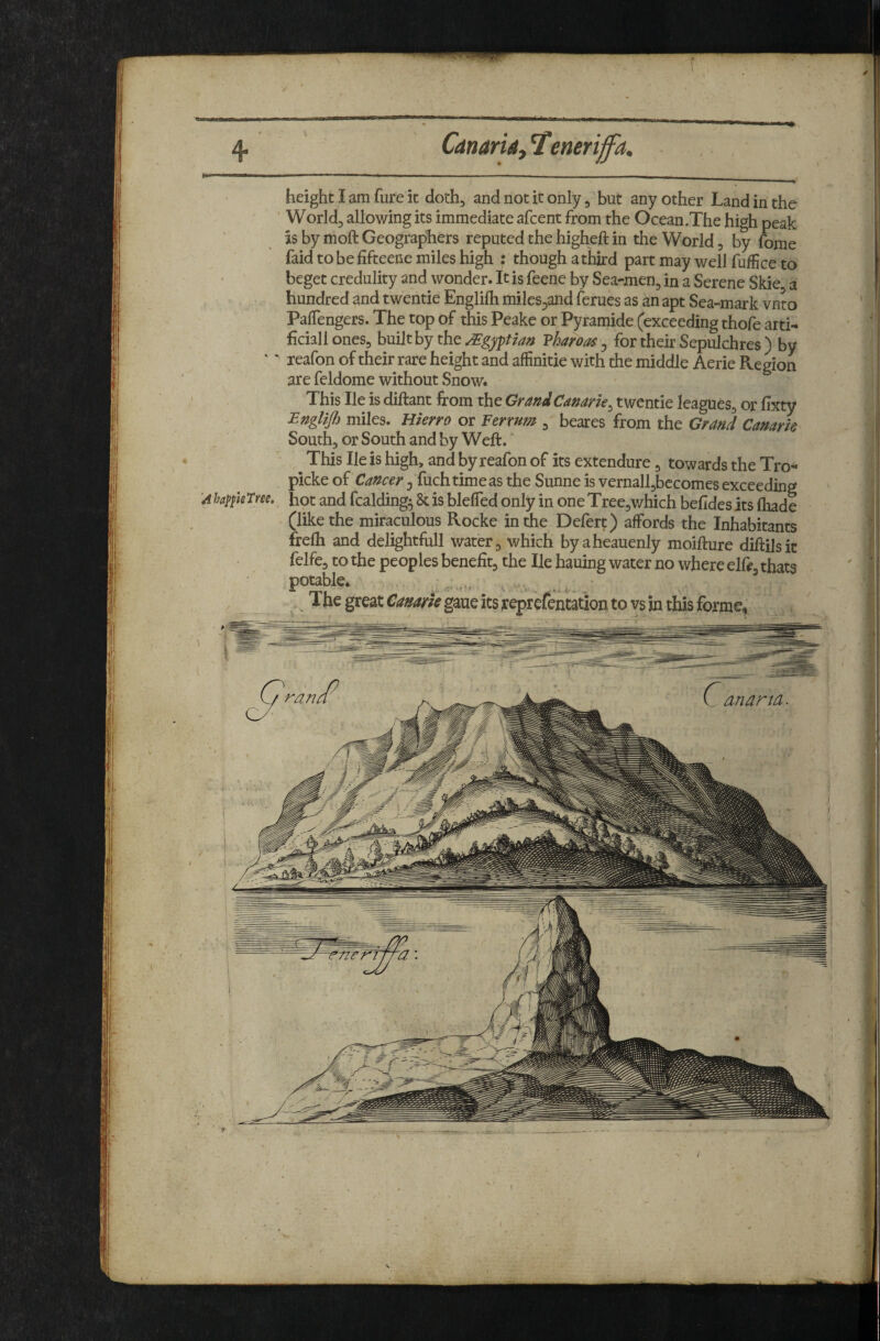4- Canaria, ^eneriffa. height I am fure it doth^ and not it only, but any other Land in the Worldj allowing its immediate afcent from the Ocean.The high peak is by moft Geographers reputed the higheft in the World, by fome faid to be fifteene miles high : though a third part may well fuffice to beget credulity and wonder. It is feene by Sea-men, in a Serene Skie a hundred and twentie Englifli miles^and ferues as an apt Sea-mark vnto PalTengers. The top of this Peake or Pyramide (exceeding thofe arti- liciallones, hmlthy ^gypHa?i Vharoas ^ for their Sepulchres ) by '' leafon of their rare height and affinitie with the middle Aerie Region are feldome without Snow. This He is diftant from the GrandCanarh^ twentie leagues, or fixty :Englifi miles. Hierro or Ferxum , beares from the Grand Canarie South, or South and by Weft. This He is high, and byreafon of its extendure, towards the Tro^ picke of Cancer ^ fuchtimeas the Sunne is vernall,bccomes exceeding A ha^fieTm, hot and fcalding^ & is blelTed only in one Tree,v/hich befides its ftiade (like the miraculous Rocke in the Defert) affords the Inhabitants frefti and delightfull water, which byaheauenly moifture diftilsit felfe, to the peoples benefit, the He hauing water no where elft, thats potable. . The great Canarh gaue its reprefejitation to vs in this forme^