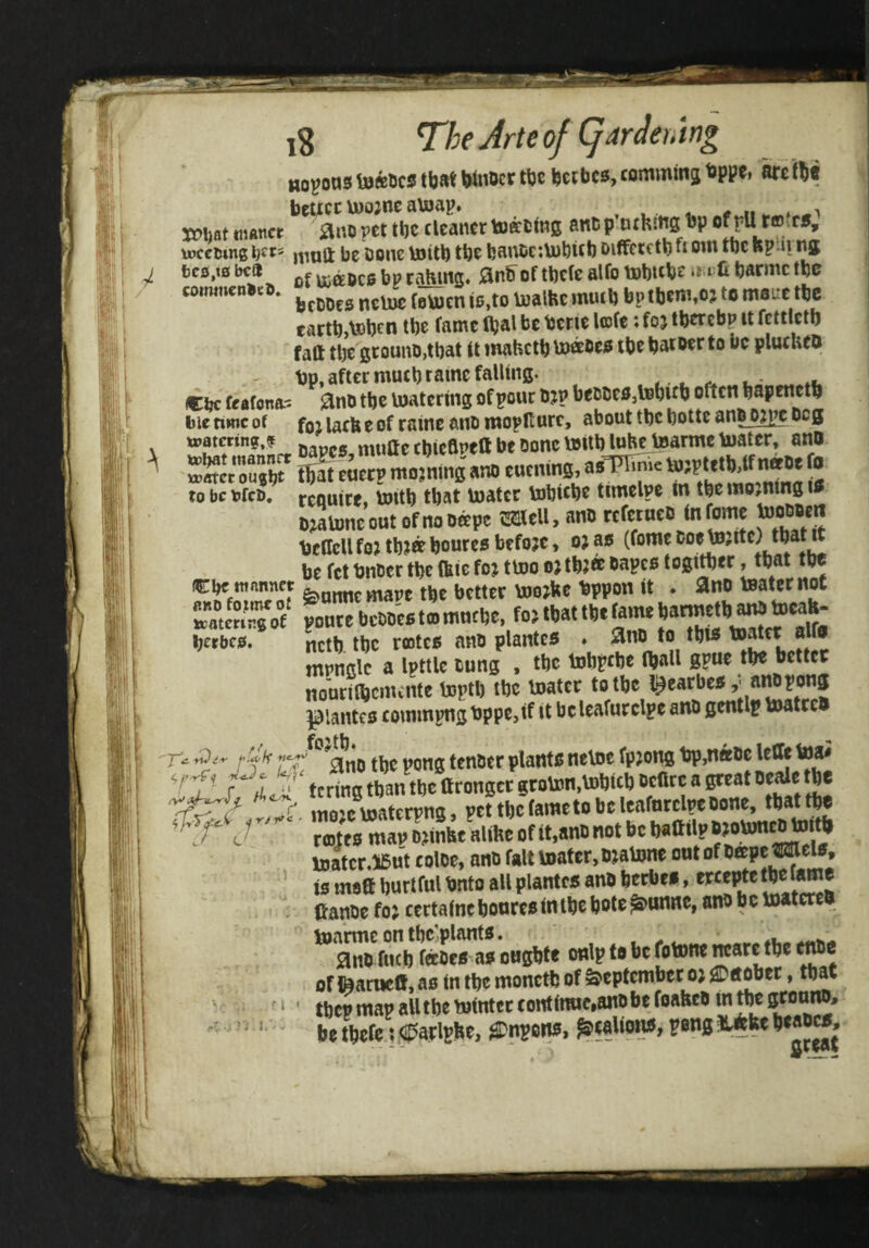 ttovons totos tbftt Wnocr t^jc feccbes, commina tppe, bcucc U)o;nc a\oap» « n i ^ mat tiiancr ano pet tbc cleaner toff ting anDp’nchjn^s tJP of rll tees, toceting nioft be Done tottb tbe bauDcjtobict) oiffcrctb fi oin tbe Rp.ii nj bcs.iobca ofisaBcBbptafeins. anSofrttfealfotoljminii'Ctjarmcibe comnicn»e». jjj i,p (bem.o; to mane tte eactb,toben tbe fame tbal be bene Irote; foj tberebp it fctilctb fatt tbe gcounD,that It mabetb toffoej5 tbe batoer to be plucbeo bp, after much tame falling. ,.^ Cbc feafona- janD tbe toatering of pour D?p ^ bierimcof foiiacbeof raine aiio iwopRurc, about tbe botte ano o?pc beg toatmng.? „i„aecbicflneabeoonctottbluhetoarmetoatcr, ano tl^eitapmcmnsano to be bfeo. reouire, toitb that toatcr tobitbe timelpe m tbe moaning itf D;tatoncoutofnoOffpc tsaiell, anb tjcffcll foj tb?ff bourcs before, o; ao (fome be fet bnDcr tbe (tie fo; ttoo o; tbJ® bapco togitber, that tbc Cbc ntannct ^ better toojfec bppon it * anoteaternot rtXoV SbcOOcatLotbe. at berbco. netb tbe rootco ano planted ♦ Slno to tbto to^er alfo mpnglc a Ipttlc Dung , tbe tobptbe fljaR gP«^ no’uriibcmnite toptb tbe toatcr to tbe t^carbetf y anopong piantes commpngbppc,if it bcleafurclpe anb gentlp toatrcR ”li a*no tbe pong tenDer plants netoe fptotis bp,n«De letfe tea* H^%trm«rtanrtcttrotigetgtoton.tol)lcl)OcfitcaBrMtDt(aet6e inajctoatMTiiS, ptttbctamctobeltafottlwDonc, tijatrte toatcr.li6nt tolBc, ano fait water, tjalwie oat of Offipe WaeW, is mott Ijurtfnl tmto all plantcs anB fcetBeo, *”* ; jtanoefo}ctcta(nef)ontt*fnrtel)ote^atwe,an9beW*tcrei> toarmc ontbc'plants. ^ anb fucb fffDes as ougbfe onlp to be fotonc marc tbe enbe of l^anieff, as in tbe monetb of ' ^ ‘ ’ tbep map all tbe tointcr coiitimie,anD be foafeco in rte '■• ’' ‘ ^ ^ be tbefe: <il?arlpbe, ^npons,