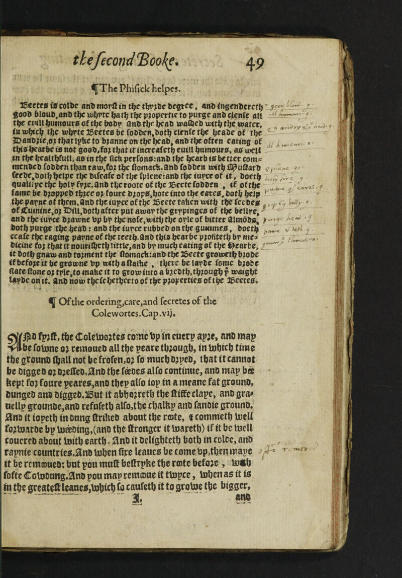 thefecond 'Book^, ^P’hc Phifick hclpes. ry ^ I yfft Cl ^ * 16eete0 ii colDe anl> morfl in t^rjDe ncftec, «riD etcf 1^ ^oob blouD.ant) tl)c tx>l)Ptc ^atlj tlje pjtopctfie to purge anli cienfc alt tl;e ewli ^uitiouro of t^c QnD t^r I^aO toafljco ujtt^ tije water, <n w^cl; ti)c w^rtc :6eeteB be fobben.botb cienfc t^e Ijeabe of tbe 3Dano;te,ot tbotipbe to bjtanne on t^c caring of tbi9^ l^arbc 10 not goob^foji tbat it increafetb cutll btimouro, an uicil in tbe i^ealtbfull> anin tl;e fich petfon0:anb tl^e l^atb 10 better corns tncnbeb fobben than raw,fo? t^c fiomacb.anb fobbeit with fi^uftarb Crebe.botb^eipetbcbifeafeoftbcfpicnctanbtl^iurceof it, boetb nualtipc tbe bolt* fr;te.anb tberoote of tbe ©eetefobben , If oftbc ; ';^votr. famebe b?oppeb tb?cco?fourcb?op0,botelntorbeeatc0,botbbcip Ittu^ f ' tbepapne of tbenuanbtbc rupee oftbc 28eetetabcnwitb tbefeebetf ofiCuintne»o?3DiU,botbaftcrputawartbegtvpinge0of tbcbeiire,- , anb tbe turce b;awne bp bp tbe note, with tbe brie of bitter aimob0„ )> y4.^e fcJ'i - '1- both purge tbe beab: anb tbe iurce rubbeb on tbe gummeo, boetb fcafe tbe raging parne of tbe teetb-anb tbt» bcarbe ptofitetb br mea - .. btclne fo> tbatitnourilbctb uttle.anb brniucb eating of tbe l^earfce, it both gnaw anb tojunent tbe fiotnacbianb tbe 3$eetc growetb biobe lfbefo;e.itbcgrownebp witbanalHe , tbevc belapbe feme b;obe Hate (tone 0; tplc.fo inahe it to growinto a b?ebtb>tblougb f waigbt Upbconit, anb now tbcfcbctbcrtooftbep?opett4e0 oftbc aaceteo. ^ Of the ordering,care,and fecretes of the Colewortcs.Cap.vij* Off #0 fte ColeUJojf c3 come bp in cucep apje, anb map -^Ibe fotone oj remoaeb all tbe peace tb^ougb, tn inbtcb time tbegrouno tballnot befcofeti,o^ fo mueba^peo, that it cannot be OiggeD oj i);eireo,0nD tbe faoea alfo continue, ano map b« feept fo? fouce pearc^jano tbep alfo lop In a meanc fat gcouno, DungeD ano oiggeO.JlBut it abbe?cctb tbe ftiffeclapc, ano gca» uellp gcounoe,ano cefnfctb alfo,tbe cbalfep ano fanolc gcouno. jSlnoittopetblnonngftciheo about tbe cote, f commetbtoell fojtoacoe bp U)aDlng,(ano tbe ftcongee ittoacetb) if it be IncU couccco about Initb eactb • ^nO it ocligbtetb both in colcc, ano rapnie ceunttie^.^nOUJben dee leaucfi be fomctp,tbcnmapc It be rtmoueo: but pou mutt bettrpHe tbe cote befoje , Uitb fofte ColDOung.Slno pou map cemoue it ttopce, toben as it is fti tbe geeateft IcancSjtobicb taufetb it to gcotoe tbe bigger, -- 31^