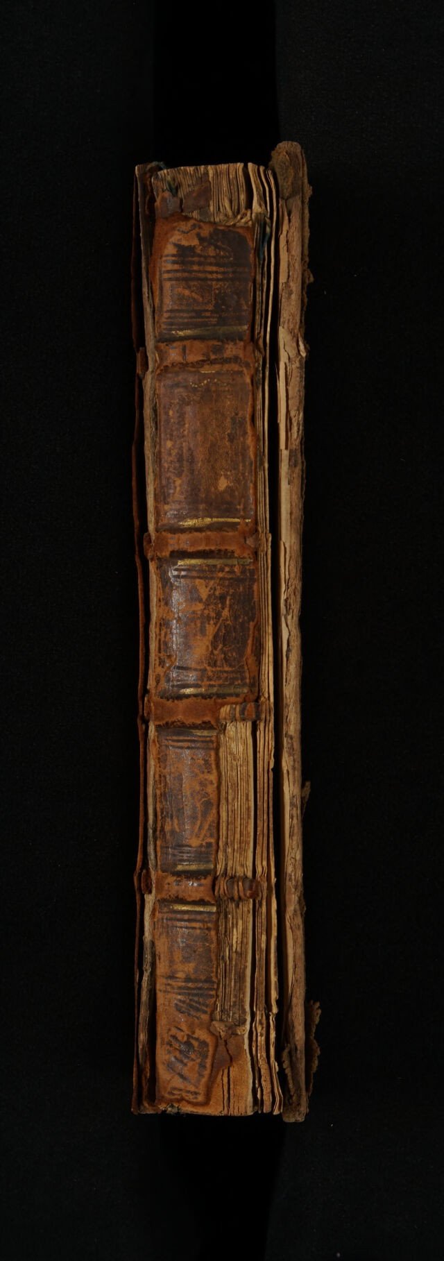 No text description is available for this image