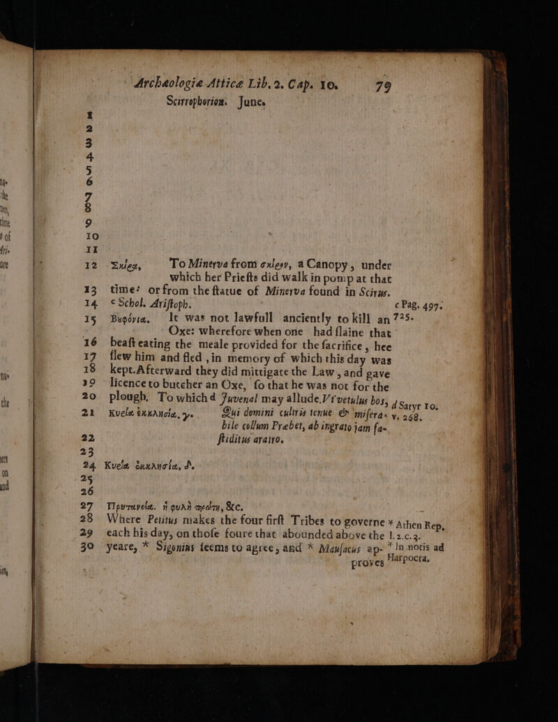 © CY quis w bd ww Scirrophorioz. Junes Sxleo, To Minerva from cxiesy, aCanopy, under which her Priefts did walk in pomp at that time’ orfrom the ftatue of Minerva found in Scirw. ¢Schol. Ariftoph. c Pag. 497. Bugovia, It was not Jawfull anciently to kill an 725- Oxe: wherefore when one had flaine that beaft eating the meale provided for the facrifice , hee flew him and fled ,in memory of which this day was kept.Afterward they did mittigate the Law, and gave licence to butcher an Oxe, fo that he was not for the plough, To whichd Juvenal may allude Vi'vetulys bos, d Satyr 10 Kvele. ExKAnote, ye Qui domini cultrns tenue &amp; ‘mifera&gt; y. 268, bile collum Prebet, ab ingrato jam fa- ftiditus aratro, Kvela euxanota, de Iipuruvele, 4 ouan apo, Ke. Where Petitus makes the four firft Tribes to governe * A:hen Rep, each his day, on thofe foure that abounded above the 1.2.c.3. yeare, * Sigonias feems to agree, and * Maufacus ap- te notis ad proves arpocra,