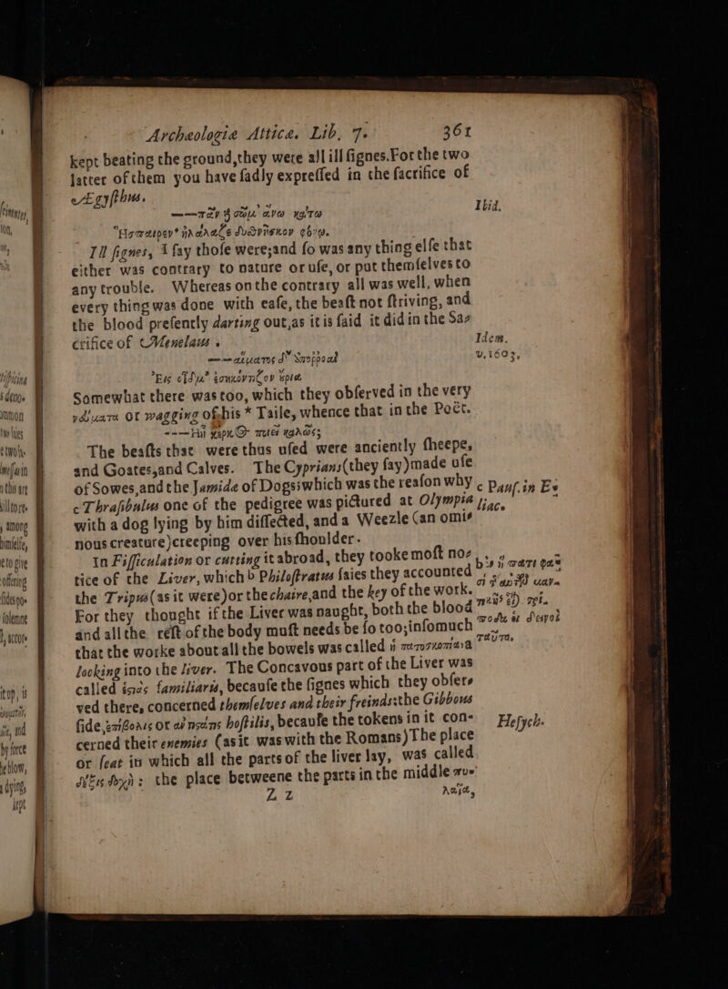 puing TH nen Das e two Ns mea ih 1 this art ‘illtoree among hinkele, eto give ofetieg ides noe folemae L acco Archaologie Attica. Lib, 7. 361% kept beating the ground, they were all ill fignes.Forthe two fatter of them you have fadly expreffed in che facrifice of egy thus. ——7ay 4 co ave xglte Ibid. “Hocmetpen* nrarace dudpiisnov ¢619. Til fignes, 1 fay thofe were;and fo was any thing elfe that either was contrary to nature orufe, or pat themfelves to any trouble. Whereas onthe contrary all was well, when every thing was done with cafe, the beaft not ftriving, and the blood prefently darting out,as itis faid it didin the Saz crifice of (Menelaus « ma gies JY Sappoad Eis cid? tonncynCev spice Somewhat there was too, which they obferved in the very rdiuare or wagging ofbis * Taile, whence that in the Pect. ==-— Fil xepn@- meted WAS; The beafts thse were thus ufed were anciently fheepe; and Goates,and Calves. The Cyprians(they fay)made ufe of Sowes,and the Jamide of Dogsiwhich was the reafonwhy . pipe iy Ee ¢ Thrafibulus one of the pedigree was pictured at Olympia ;, [ee with a dog lying by him diffected, anda Weezle (anomie nous creature)creeping over his fhoulder. in Fifficulation or cutting it abroad, they tookemoft nos , , k tice of the Liver, which > Philoftratus faies they accounted 2%.” 727! 9@5 the Tripus(as it were)or the chaireand the key of the work. a1 F anid + ee For they thought ifthe Liver was naught, both the blood 7*# #7 and allthe. reft ofthe body muft needs be fo too;infomuch melee sae chat the worke aboutall the bowels was called i zz7o7xemara Colgan locking into the fiver. The Concavous part of the Liver was called éacs familiaris, becaufe the fignes which they obfers ved there, concerned themlelves and their freindssthe G ibbous fide zaiBoass OF av nouns hoftilis, becaufe the tokens in it con- Hefyc cerned their enemies Casit was with the Romans)The place . or [eat is which all the parts of the liver lay, was called feu yh: the place betweene the parts inthe middle ave’ Z . Awe,