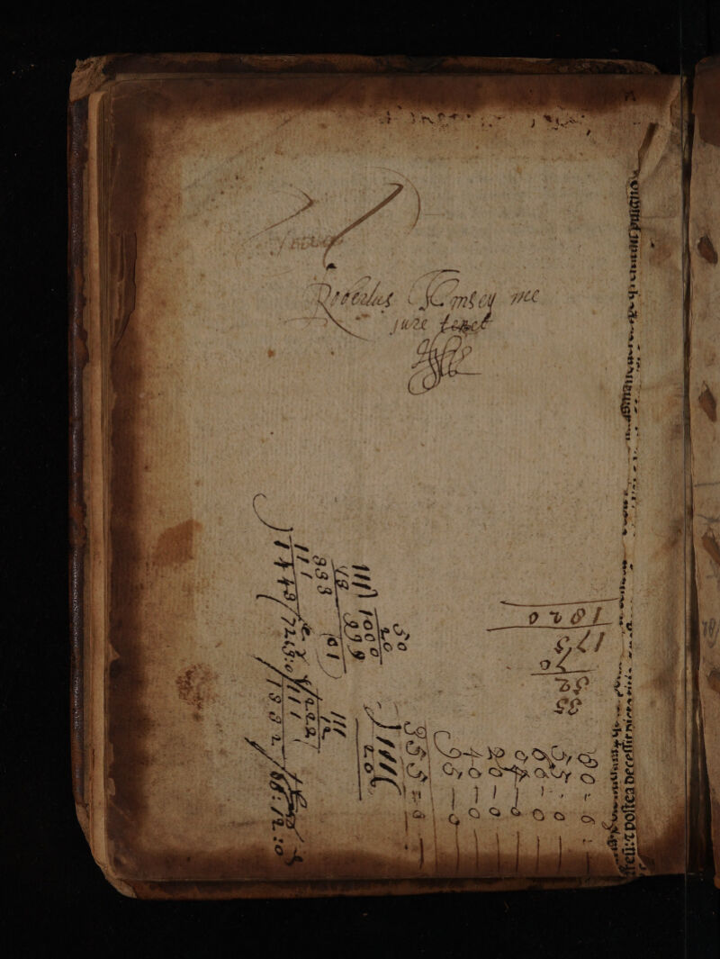 é orm a oS as a ee ; ce, | Ah Faists yer ang al. - 2 a ma =, % ne ont \ored IN Sy ‘os iG “oe ry t gz} / exile A016) POA psa ade e