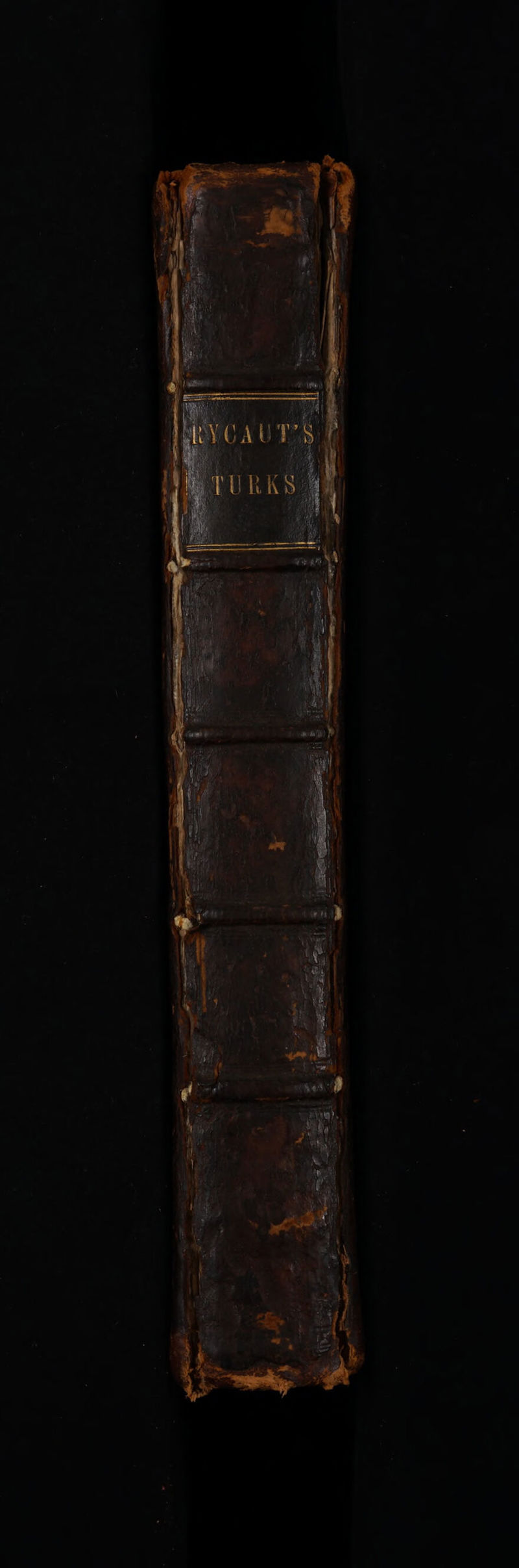 No text description is available for this image