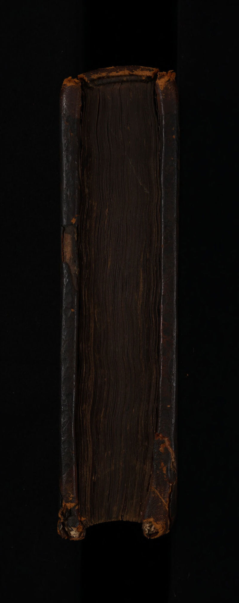 No text description is available for this image