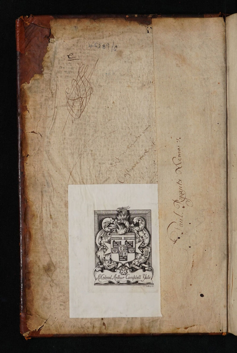 No text description is available for this image