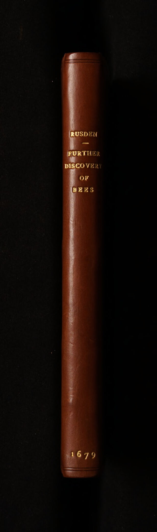 No text description is available for this image