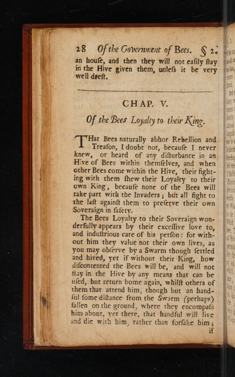 an houfe, and then they will not eafily ftay | in the Hive given them, unlefs it be very | iil well dreft, CHAP. V. Of the Bees Loyalty to their King. To Bees naturally abhor Rebellion and | yi; Treafon, I doubt not, becaufe I never | inj Knew, or heard of any difturbance in an | jy) Hive of Bees within themfelves, and when | \ji, other Bees come within the Hive, their fight- | \,\\ ing with them fhew their Loyalty to their | ; own King, becaufe none of the Bees will take part with the Invaders; but all fight to | the laft againft them to pre(erve their own |,» Soveraign in fafety. The Bees Loyalty to their Soveraign won- |»), derfully appears by their exceffive love to, |,,, » and induftrious care of his perfon: for with- | , out him they value not their own lives, as you may obferve by a Swarm though fettled and hived, yet if without their King, how difcontented the Bees will be, and will not ftay in the Hive by any means that can be | ufed, but return home again, whilft others of |. them that attend him, though but an hand- |. ° inl fome diftance from the Swarm (perhaps) fallen onthe ground, where they encompafs him about, yer there, that handful will live and die with him, rather chan forfake bim; if