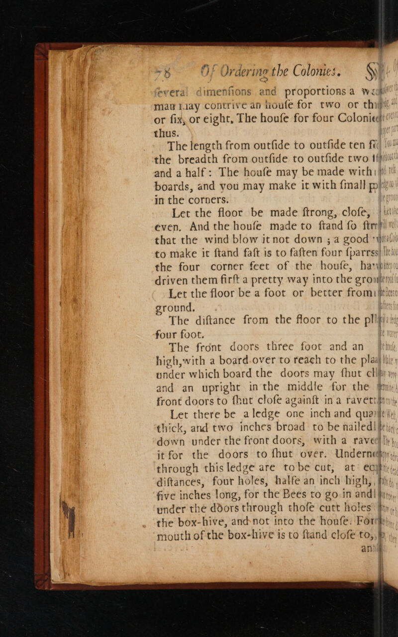 Sw evera! dimenfions and proportions a w&lt;copil!’” mat tay contrive an tioufe for two or thijt or fix, or eight, The houfe for four Coloniede thus. The length from outfide to outfide ten fad Ss the breadth from outfide to outfide two 1 ffi and a half: The houfe may be made with boards, and you may make it with {mall Pe pi in the corners. Let the floor be made ftrong, clofe, | \itii even. And the houfe made to ftand fo ftrrMi' that the wind blow itnot down ; a goody to make it ftand faft is to faften four fparrss) lit the four corner feet of the houfe, hart driven them firf a pretty way into the groniiti) Let the floor be a foot or better fromifitittse ground. The diftance from the floor to the pllipii four foot. | The front doors three foot and an hol high,with a board.over to reach to the plaal hiiey ander which board the doors may fhut clipy yy and an upright inthe middle for the ni) front doors to fhut clofe againft in'a ravett#nni Let there be aledge one inch and quanje}; thick, and two inches broad to be nailed! fey down under the front doors, with a raveel lie! it for the doors to fhut over. Underneth through this ledge are tobe cut, at eq) i diftances, four holes, halfe an inch high, five inches long, for the Bees to go.in and| \, under the ddors through thofe cutt holes® finy the box-hive, andnot into the honfe. For bi, mouth of the box-hive is to ftand clofe to, y anil