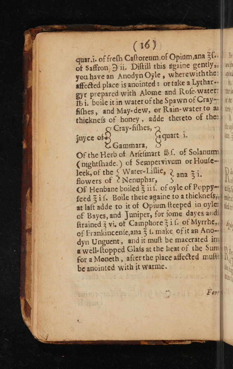 ee PRE sey oe SE: 7 PES (16) quar.i. of freth Caftoreum,of Opiam,ana ZE6 | of Saffron) D ii. Diftill this agsine gentlyss | a youhave an Anodyn Oyle, wherewiththe! | ali affected place is anointed: ortake a Lythar-: | gyr prepared with Alome and Rofe-watett | tir) fs i. boile it im water of the Spawn of Cray-&gt;) ii fifhes, and May-dew, or Rain-water to aa} (i thickne’s of honey, adde thereto of the:| or Cray-fithes, ~Q quy Csquatt i. juyce of Coauns i So3 Gammara, 1 Of the Herb of Arfefmart bf of Solanum) (nightfhade, ) of Sempervivum of Houfe-| leek, of the ¢ Water-Lillie, 2 — | a ES wT j : ana 5 1. Sowers of 2Nenuphar, = $ OF Henbane boiled Z iif. of oyle of Poppy=}j (,/ feed 3 if. Boile thete againe toa thickne(s,,| is at la(t adde to it of Opium fteeped in oyle) i. of Bayes, and Juniper, for jome dayes andi firained 3 vi, of Camphore 3 1{-. of Myrrhe,, | of Frankincen(fe,ana 3 {. make ofit am Ano=| dyn Unguent, and it mult be macerated im} a well-(topped Glafs at the heat of the Sun ; for a Moneth, after the place affected multtll i\ , be anointed with it warme. i