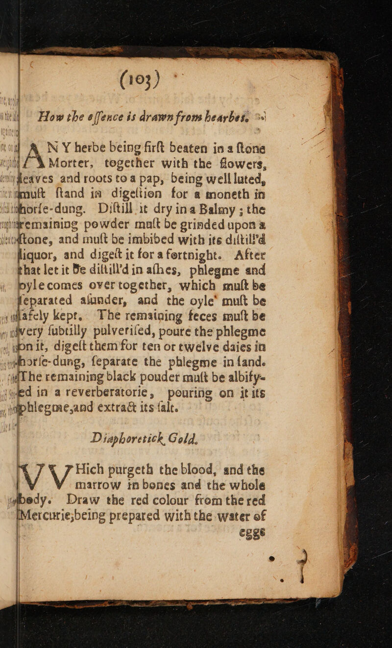 (103) How the effence is drawn frons heaybes. q io! &amp; NY herbe being firlt beaten in a ftone wilt Z% Morter, together with the flowers, iygeaves and roots toa pap, being well luted, ‘mutt ftand ia digeltion for a moneth in iihorfe-dung. Dyftill-it dry ina Balmy ; the wiidremaining powder malt be grinded upon a iuttone, and mutt be imbibed with its diltilld ; liquor, and digelt it forafertnight. After t that let it Be diltill’d in athes, phlegme and pylecomes overtogether, which mutt be feparated alunder, and the oyle* mult be \gafely kept, The remaining feces muft be » wivery fubtilly pulverifed, poure the phlegme {gonit, digelt them for ten or ewelve daies in dborle-dung, feparate the phlegme in fand. ‘dt he remaining black pouder mutt be albify- jqyed in a reverberatorie, pourifg on it its , wgphlegaaejand extrac its fale. sj Diaphoretick, Gold. V 5 F ene: purgeth the blood, and the marrow tn benes and the whole ygoedy. Draw the red colour from the red [Meicurie;being prepared with the water of 3 egge | | | 7 | : e  Fae ea, a ee fever i