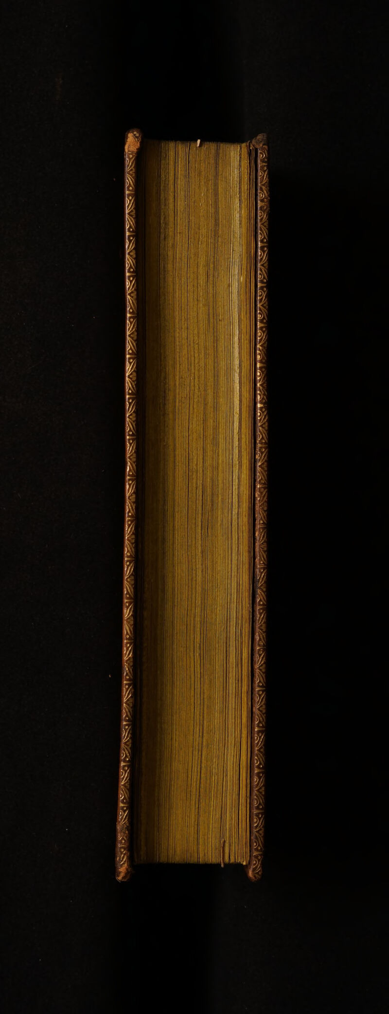 No text description is available for this image