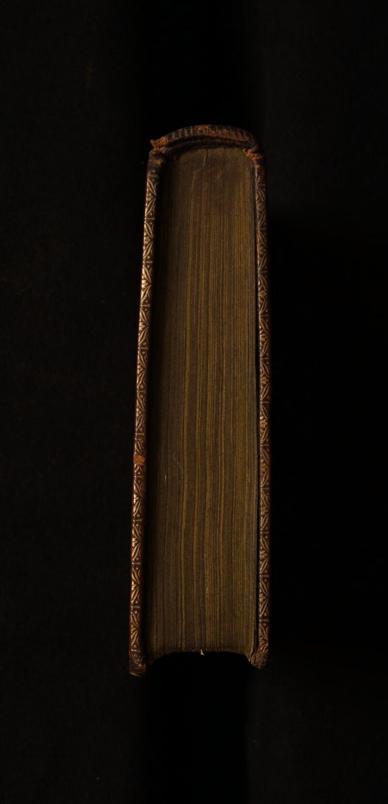 No text description is available for this image