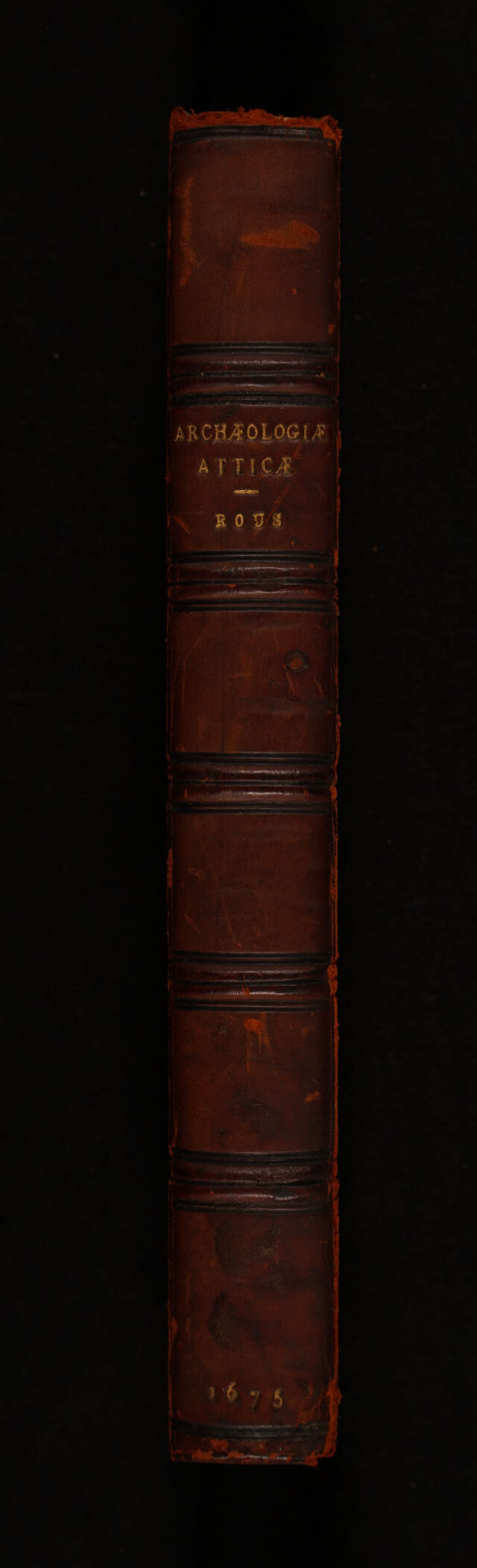 No text description is available for this image