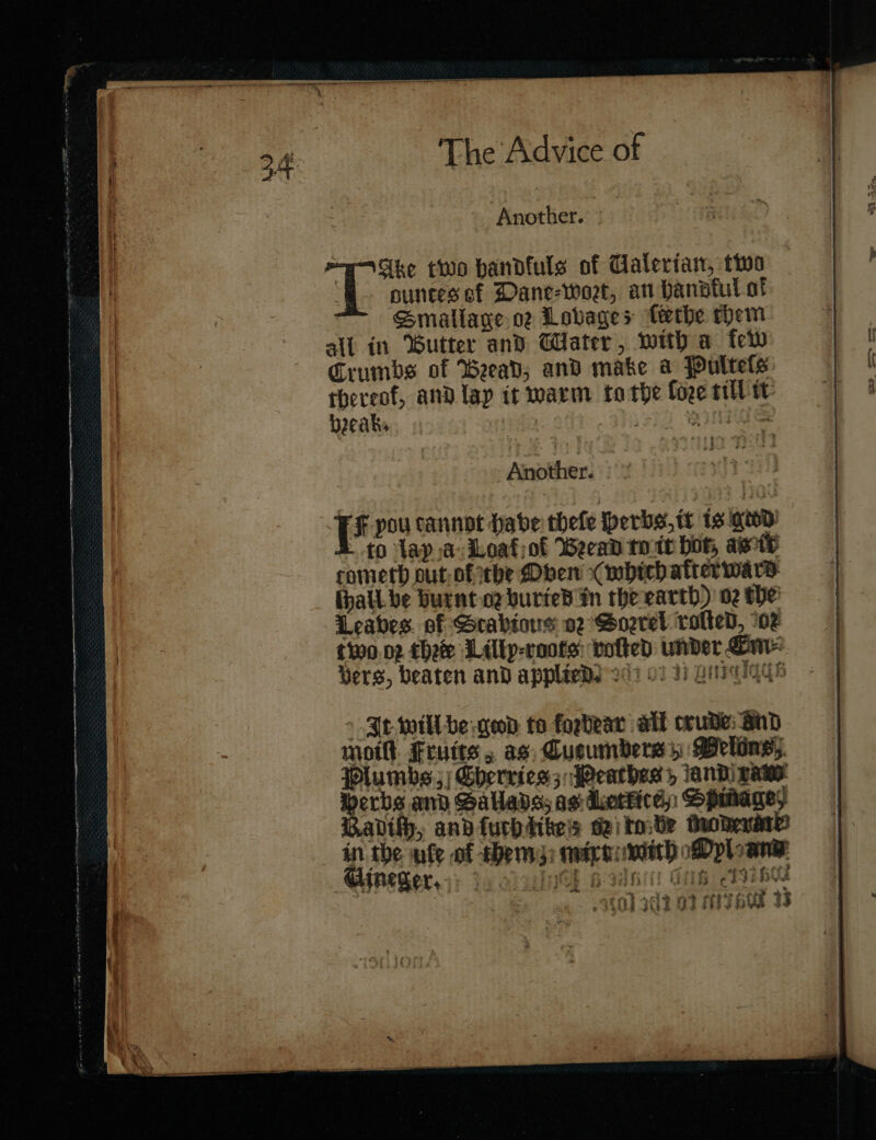 Another. —Ake two handfuls of Galeria, two ounces of Dane-woet, an handkul ot Smallage oz Lovages ſcethe em all in ‘utter and Water, with a few Crumbs of Beead; and make a Pultets thereof, and lay it warm tothe ſore tit tt Another. IF pou cannot habe theſe herbs, tt is geod Ito Tap a Loaf of Beead tote bot, ate cometh out: of the Oben ( which after ward hall be vurnt og buried in the earth) 02 the Leaves of Stabious 02 Soꝛrel rolled, or | tio. or thee Lilly⸗ roots vetted under Om Vers, beaten and applied) oct 0) 2) Biggs It waill be geod to forbear all crude: an moil Frutts ,. as, Cueumbers: Peling; Plumbe Cherries; Peathess iandi game erbs and Salads; as Lettite Spihagey Radthh, and ſuth dike; sei tobe moderatte in the ule of them, mirt with Myl and ef £34 &amp; oh ae ~ Gineger, Pe i + ary a “2 ACE Ps te f