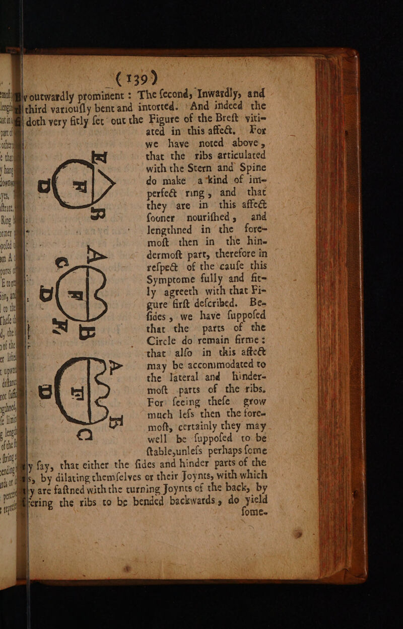 nto eng atin pata athe é thay bane Jonni yes, Ring patts (i Bort ny a0 to th rele of tn ot litt up dy(tanc the fe {ims nga ofthe fing i cg ot : ect | i erie ae | woutwardly prominent : The fecond, Inwardly, and Ithird varioufly bent and intorted. “And indeed the ated in this affect. For we have noted above, that the ribs articulated with the Stern and Spine do make akind of ime= perfect ring, and that they are in this affect fooner nourifhed, and Jengthned in the fore= then in the hine od moft &gt; dermoft part, therefore in e refpe@ of the'caufe this Symptome fully and fit= \, oO ly agreeth with that Fi- pus firft stam a ides, we have fuppofed i a ts that the parts of the |. Circle do remain firme: that alfo in this affeé may be accommodated to the Tateral and hinder- moft parts of the ribs. For feeing thefe grow much lefs then the fore- moft, certainly they may well be fuppofed to be | ftableunlefs perhaps fome | s, by dilating chemfelyes or their Joynts, with which vy are faftned with the turning Joynts of the back, by Fering the ribs to be bended backwards 5 do yield &amp; fome-
