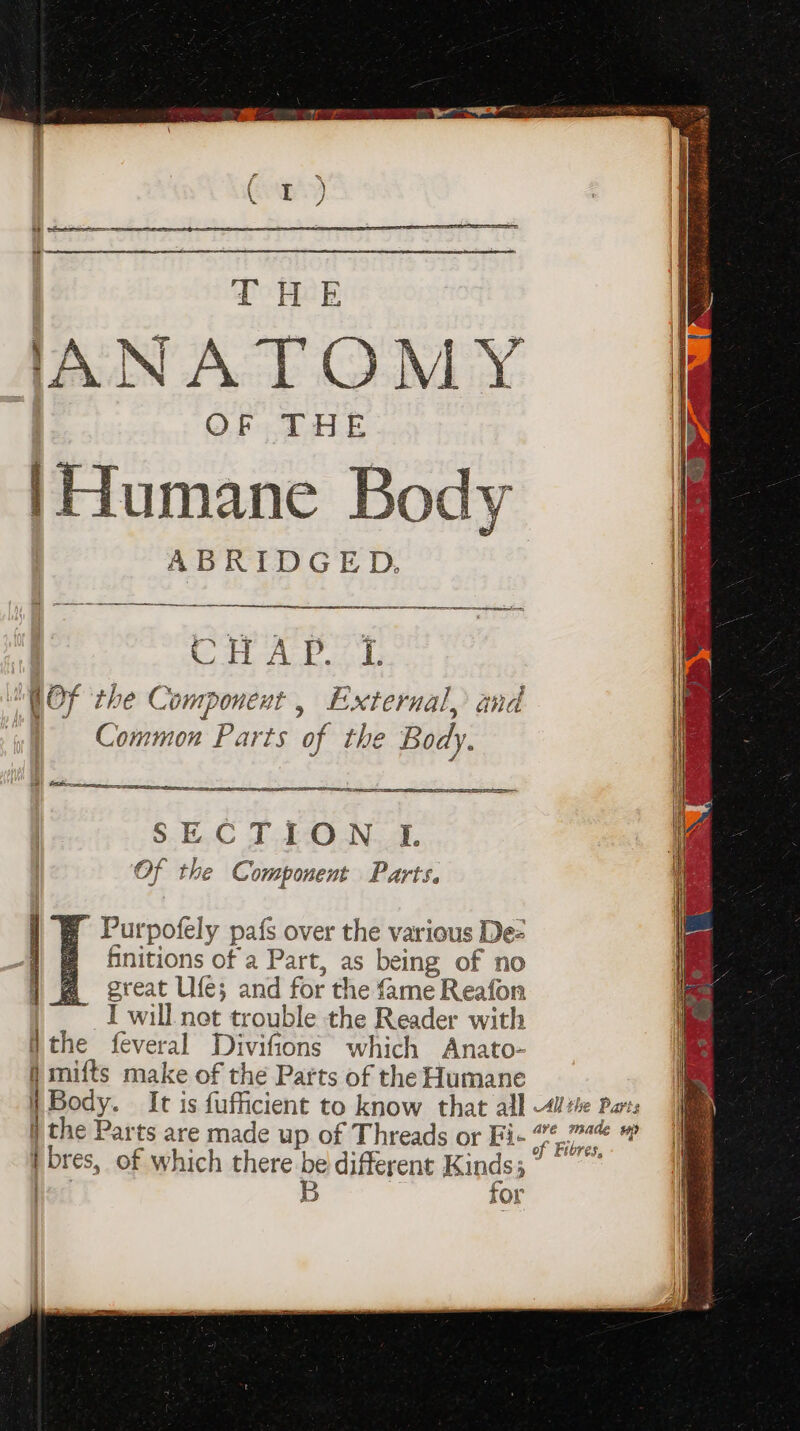 THE JANATOMY OF THE |Humane Body ABRIDGED. : i H A Pp. L. WOf the Component , External, and Common Parts of the Body. i SS SS SECTION LIL Of the Component Parts. # Purpofely pafs over the various Dez @ finitions of'a Part, as being of no great Life; and for the fame Reafon I will net trouble the Reader with feveral Divifions which Anato- i Body. It is fufficient to know that all All the Parts } the Parts are made up of Threads or Fi- yirtners | ) B ) for