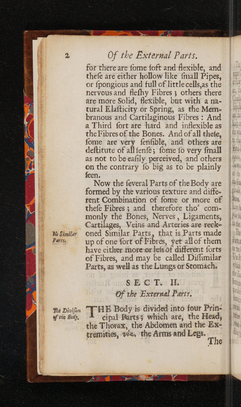 No Similar Partse The Divijion of the Baily Of the External Parts. for there are fome foft and flexible, and thefe are either hollow like {mall Pipes, or {pongious and full of little cells,as the nervousand flefhy Fibres 3 others there are more Solid, flexible, but with a na- tural Elafticity or Spring, as the Mem- branous and Cartilaginous Fibres : And a Third fort are hard and inflexible as the Fibres of the Bones. And of all thefe, fome are very fenfible, and others are deftitute of all{enfe; fome {fo very {mall as not to be eafily perceived, and others on the contrary fo big as to be plainly feen. Now the feveral Parts of the Body are formed by the various texture and diffe- rent Combination of fome or more of thefe Fibres ; and therefore tho’ com- monly the Bones, Nerves, Ligaments, oned Similar Parts, that is Parts made up of one fort of Fibres, yet allof them have either moresor lefs.of different forts of Fibres, and may be called Diffimilar Parts, as well as the Lungs or Stomach. SE © F.: I. Of the External Parts. TH E. Body is divided into four Prin- cipal Parts which are, the Head, the Thorax, the Abdomen and the Ex- tremities, wz, the Arms and Legs. 7 | The