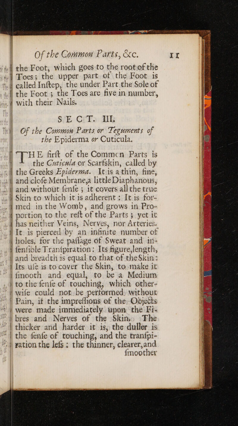 Of the Common Parts, &amp;c. the Foot, which goes to the root of the called Inftep, the under Part the Sole of SECT. Il ad the Epiderma or Cuticula. 1 THE &amp;rft of the Commcn Parts is | the Cuticula or Scartskin, called by i It is pierced by an infinite number of |fmooth and equal, to be a Medium ) to the fenfe of touching, which other- thicker and harder it is, the duller. is the fenfe of teuching, and the tranfpi- eater {moother