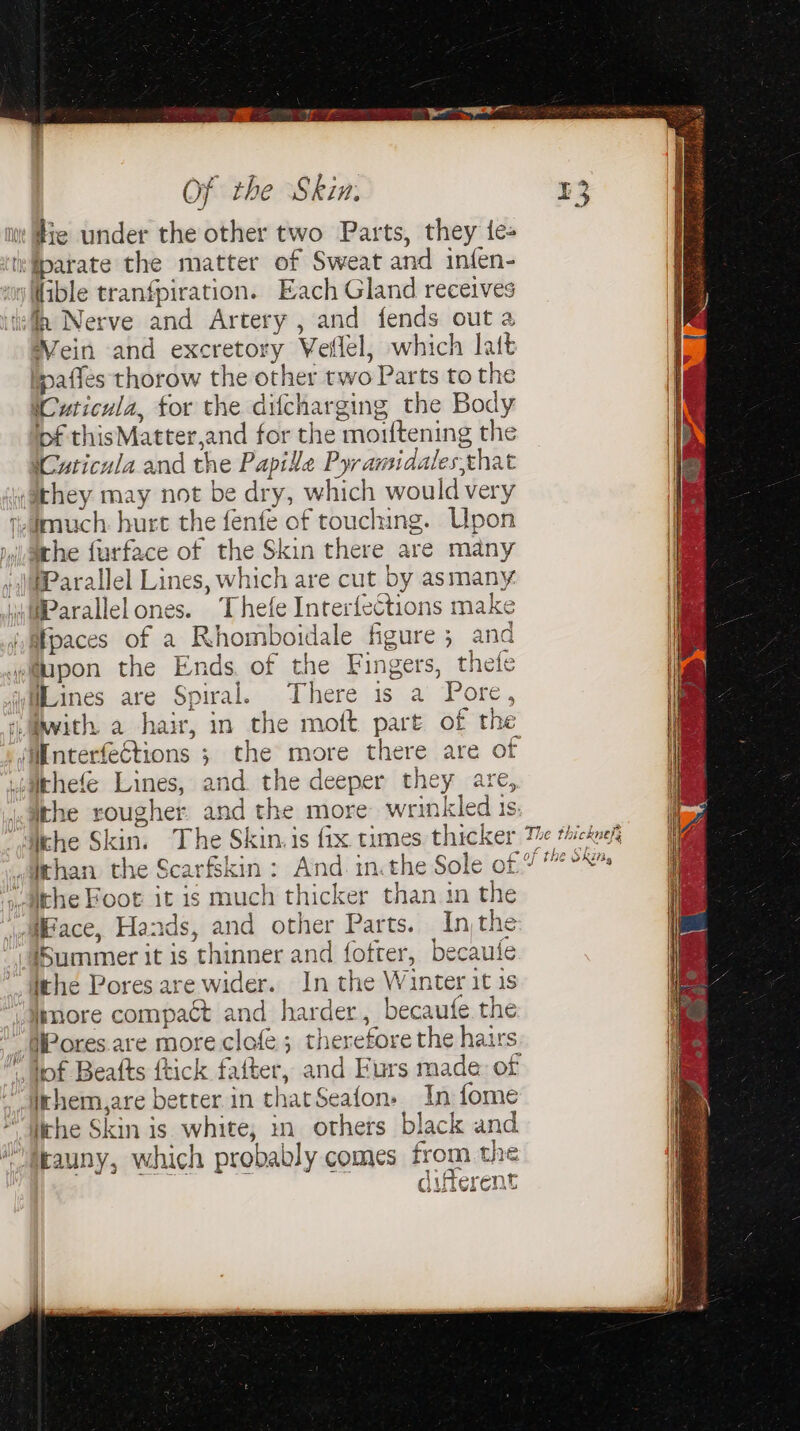 it Hie under the other two Parts, they te- ir fparate the matter of Sweat and infen- “ny Wible tranfpiration. Each Gland receives ‘Ih Nerve and Artery , and fends out a Vein and excretory Wellel, which lait safles thorow the other two Parts to the (Cuticula, tor the difcharging the Body pf thisMatter,and for the moiftening the Cuticula and the Papille Pyramidales,that wathey may not be dry, which would very n,amuch. hurt the fenfe of touching. Upon mwiiaeche farface of the Skin there are many Parallel Lines, which are cut by asmany iyiParallelones. Thefe Interfections make ifpaces of a Rhomboidale figure; and wupon the Ends, of the Fingers, thefe Mines are Spiral. There is a Pore, MnterfeGtions ; the more there are of uiathefe Lines, and the deeper they are, Ihe Skin. The Skin. is fix times thicker ~ the Foot it is much thicker than in the ‘ace, Hands, and other Parts. Inthe ‘Summer it is thinner and fofter, becaufe lrhe Pores are wider. In the Winter itis amore compact and harder, becaufe the Wores. are more clofe ; therefore the hairs ithem,are better in thatSeafon. In fome “Withe Skin is white, in. others black and Wrauny, which probably comes from the oiltterent The thickney of thé Skin,