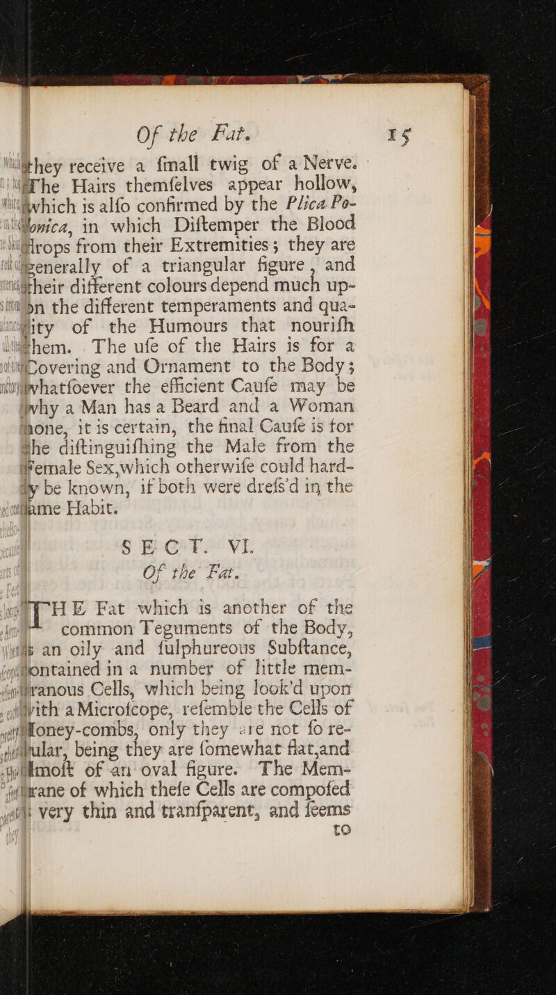 iiithey receive a {mall twig of a Nerve. Fhe Hairs themfelves appear hollow, ‘Wvhich is alfo confirmed by the Plica Po- \ilonica, in which Diftemper the Blood \iiHrops from their Extremities; they are ‘iienerally of a triangular figure , and i@their different colours depend much up- sttbn the different temperaments and qua- lity of the Humours that nourifh i#@hem. . The ufe of the Hairs is for a itiDovering and Ornament to the Body; ulwvhatfoever the efficient Caufe may be why a Man hasa Beard and a Woman hone, it is certain, the final Caufe is for the diftinguifhing the Male from the *emale Sex,which otherwife could hard- dy be known, if both were drefs‘d in the (m@pme Habit. e THE Fat which is another of the common Teguments of the Body, amp an oily and fulphureous Subftance, @montained ina number of little mem- Agetranous Cells, which being look’d upon (vith a Microfeope, refemble the Cells of vaioney-combs, only they are not fo re- ianular, being they are {omewhat flat,and wilmoft of an oval figure. The Mem- i¢uwcane of which thefe Cells are compofed welt very thin and tranfparent, and feems to