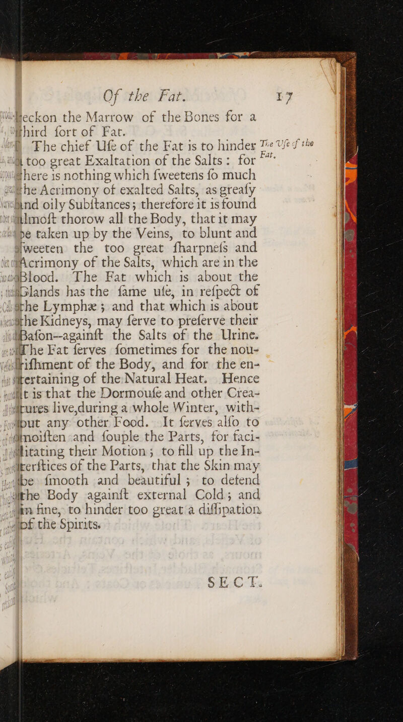 Heckon the heron of the Bones for a O The chief 1-0 f the Fat is to hin qder The Ue of the iil too great Exaltation of the Salts: for *” @here is nothing which {weetens fo much Wiig he Ac rimony ot exalted Salts, as greafy ‘Gind oily Sub{tances; therefore it 1s found ix ailmoft thorow all the Body, that it may A) ! Pe taken up by the Veins, to blunt and eeten the too great fharpnefs and Net es masts of the Salts, which are in the wi§Blood. The Fat which is about the | ifGlands has the fame ule, in refpect of ih the Lymphe ; and that which is about } nN fhe Kidneys, may ferve to preferve their |Bafon--againtt the Salts of the Urine. wolhe Fat ferves fometimes for the nou- ditifhment of the Body, and for the en- Mtertaining of theNatural Heat. Hence mM) Get that ‘the Dormoufe and other Crea- Atures live,during a whole enna with- jomjput any ‘other Food. It ferve s alfo to ‘@moiften and fouple the Parcs, re faci« j@litating their Motion; to fill up the In- welkerftices of the Parts, chat the Skin may wfbe fmooth and beautiful ; to detend volithe Body againit external Cold ; and vam fine, to hinder too great a diffipation, dupe the ‘Spirits.