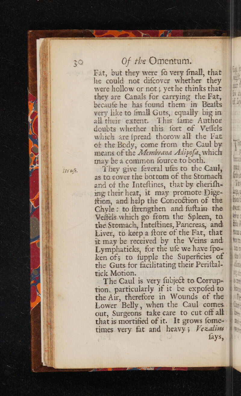 Fat, but they were fo very fmall, that he could not difcover whether they re hollow or not; yethe thinks that are Canals for carrying the Fat, becaufe he has found them: in Beafts ss > = <d ud and of the Inteftines, that by cherifh- ing their heat, ut may promote: Dige- ftion, and help the Concottion of the Chyle: to ftrengthen and fuftam the Veftels. which go from the Spleen, ta the Stomach, Inteftines, Pancreas, and Liver, to keep a ftore of the Fat, that it may be received by the Vems and ken of; to fupple the Superficies of the Guts for facilitating their Perittal- tick Motion. The Caul is very fubject to Corrup- tion, particularly if it be expofed to the Air, therefore in Wounds of the Lower Belly, when the Caul comes. out, Surgeons take care to cut off alk times. very fat and heavy; Vezaliss fays, — aR a ar te =