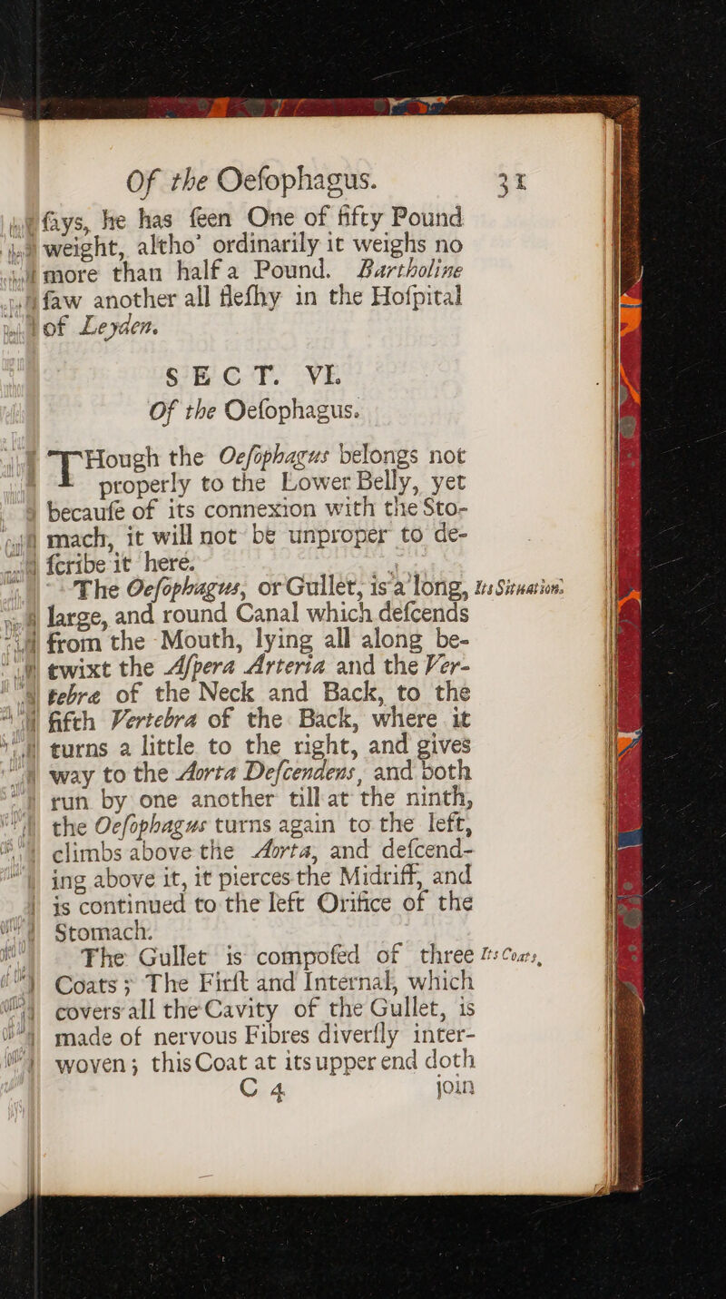 ro Of the Oefophagus. 3 /fays, re has feen One of fifty Pound ‘jon weight, altho’ ordinarily it weighs no atmore than halfa Pound. Bartholine 4 faw another all flefhy in the Hofpital mi OF Leyden. SECT. VI. Of the Oefophagus. 1h “T Hough the Ocfophacus belongs not , properly to the Lower Belly, yet becaufe of its connexion with the Sto- mach, it will not be unproper to de- | large, and round Canal which defcends “(4 from the Mouth, lying all along be- o) cewixt the Afpera Arteria and the Ver- ‘N tebre of the Neck and Back, to the “') Gifch Vertebra of the Back, where it turns a little to the right, and gives 4) way to the Aorta Defcendens, and both “} run by one another tillat the ninth, the Ocfophagus turns again to the left, ®) climbs above the orta, and defcend- “) ing above it, it pierces the Midriff, and | is continued to the left Orifice of the 4 Stomach. La The Gullet is compofed of three f: Coss, 0) Coats; The Firft and Internal, which ) covers-all the Cavity of the Gullet, is 4 made of nervous Fibres diverfly inter- i) woven; thisCoat at itsupper end doth C 4 JOIN