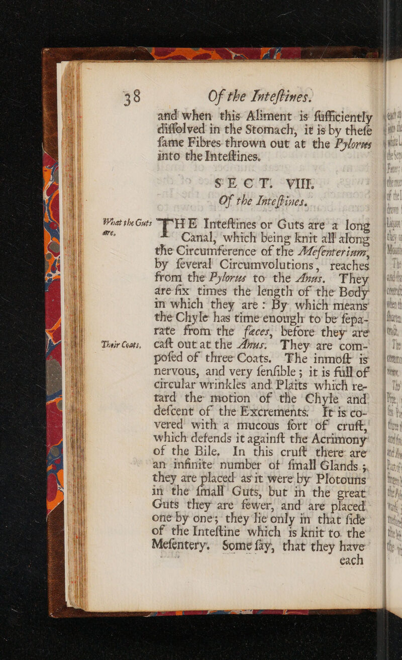 diflolved in the Stomach, it is by thefe fame Fibres thrown out at the Pylores ito the Inteftines. SE 'C.T. “VIE OF the Inteftines. What the Guts ‘THE Inteftines or Guts are a long <i ~ Canal, which being knit all along the Circumference of the A4cfenteriam, by feveral Circumvolutions, reaches from the Pylorus to the Avas. They are fix times the length of the Body in which they are > By. which means the Chyle has time enough to be fepa- rate from the feces, before they are Their Coats, cast out at the Avus: They are com- pofed of three Coats. The inmoft is nervous, and very fenfible ; it is full of circular wrinkles and. Plaits which re- tard the motion of the Chyle and defcent of the Excrements; Ft is co- vered with a mucous fort of cruft, which defends it againft the Acrimony of the Bile, In this cruft there are an infinite number of {mall Glands.;. they are placed as'it were by Plotouns in the {mall Guts, but in the great Guts they are fewer, and are placed one by one; they he only in that fide of the Inteftine which ts knit to. the Mefentery. Some fay, that they ta Tt eac