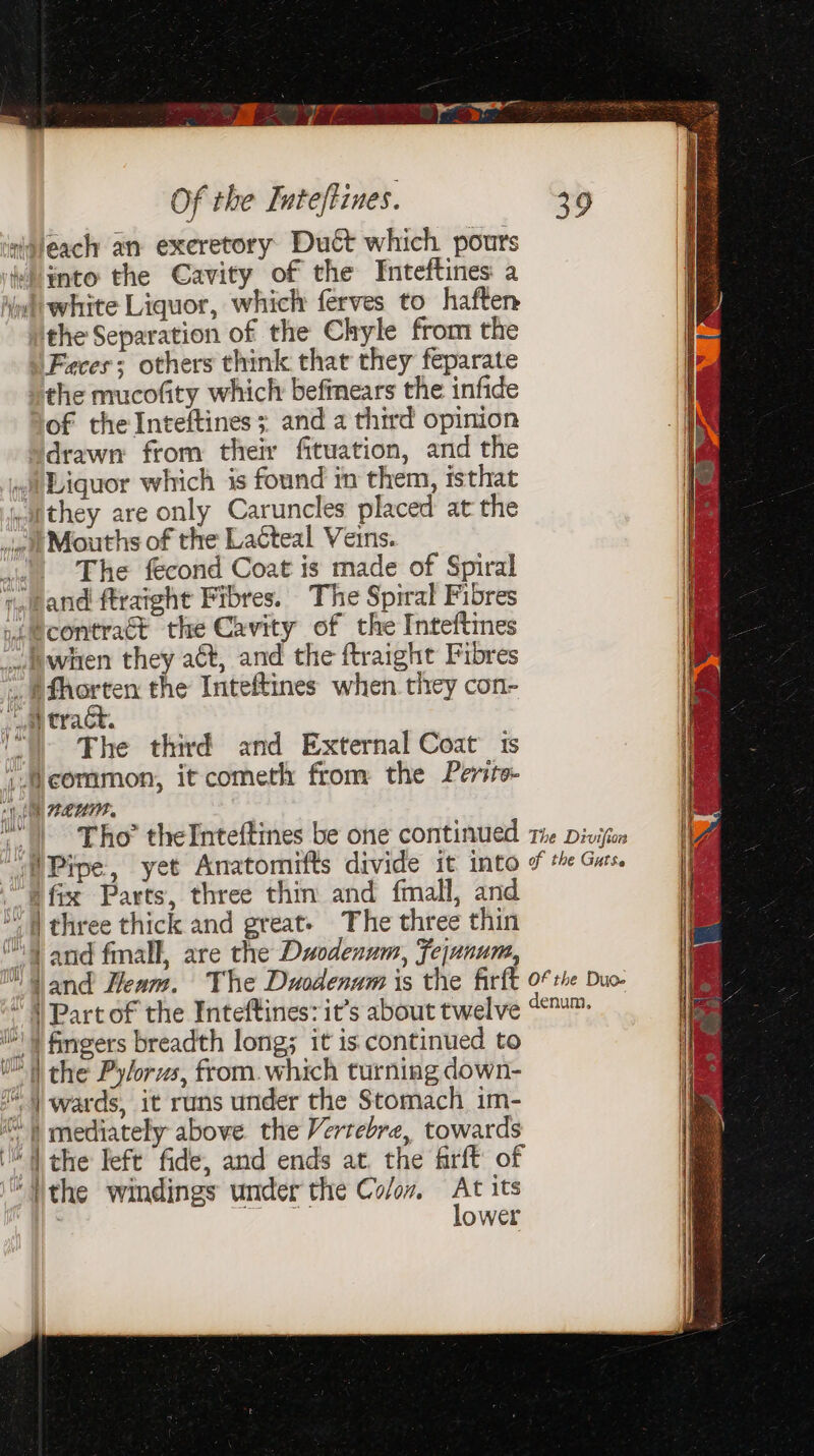 sisleach an exeretory Dutt which pours into the Cavity of the Inteftines: a mt white Liquor, which ferves to haften the Separation of the Chyle from the Faces; others think that they feparate the mucofity which befinears the infide of the Inteftines ; and a third opinion drawn from their fituation, and the it Liquor which is found in them, isthat ,uthey are only Caruncles placed at the dat Mouths of the Lacteal Veins. “The fecond Coat is made of Spiral 7,eand ftraight Fibres. The Spiral Fibres iLmcontract the Cavity of the Inteftines ~_iwhen they at, and the ftraight Fibres ;,.#fhorten the Inteftines when they con- ay tract. “) Fhe third and External Coat ts i.ecommon, it cometh from the Perite- t ett Ce REUTH ffi i fix Parts, three thin and fmall, and “( | three thick and great- The three thin ait and fmall, are the Duodenum, Fejunum, “Part of the Inteftines: it’s about twelve 6) i fingers breadth long; it is. continued to I) the Pyforus, from. which turning down- (4) wards, it runs under the Stomach im- ) mediately above. the Vertebre, towards “I the left fide, and ends at the frft of ‘“Vthe windings under the Colon, At its | eee lower