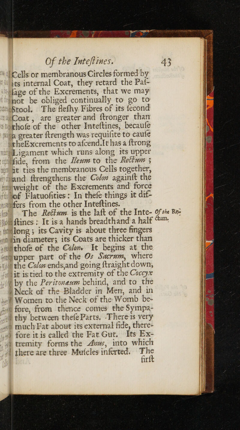 lage of the Excrements, that we may not be obliged continually to go to theExcrements to afcend.It has a {trong of Flatuofities:: In thefe things it dif- “fers from the other Inteftines. if) none iby the Peritonenm behind, and to the i Neck of the Bladder in Men, and in 4) fore, from thence comes the Sympa- 4) much Fat about its external fide, there- fir