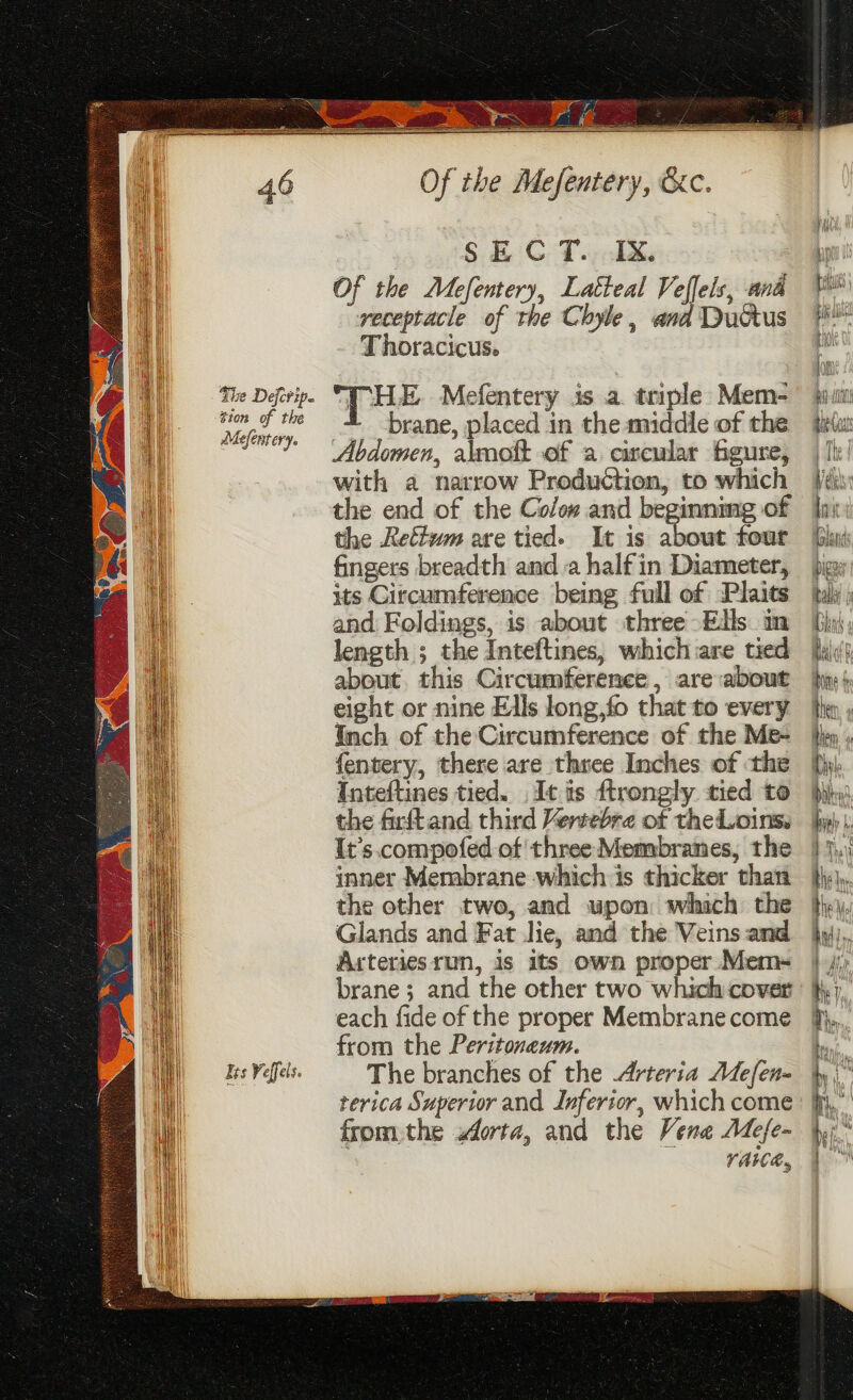 | ae aCe ee 2 ' Of the Mefentery, Latteal Veflels, and %™ receptacle of the Chyle, andDuctus #i Thoracicus. fe The Defevip. THe Mefentery is a. triple Mem- juin 1) cect 7, brane, placed in the middle of the til: 1 ee Abdomen, almott of a. cixcular figure, | || if with a narrow Production, to which [eis i the end of the Co/ow and beginning of Ini a the Rettwm are tied. It is about four hud il fingers breadth anda half in Diameter, pigs at its Circumference being full of Plaits (uli) 1h and Foldings, is about three Ells im [lai i) length ; the Inteftines, whichare tied [aly about, this Circumference, are:about ip} eight or nine Ells long,fo that to every fhe, , Inch of the Circumference of the Me- by , f{entery, there are three Inches of the [h Inteftines tied. It is ftrongly tied to pijs' the frftand third Vertebre of thedoinss fy) | It’s compofed of three Membranes, the | 1, inner Membrane which is thicker than }\y)). the other two, and wpon which the yy, Glands and Fat Jie, and the Veins and }y),, Arteries run, is its own proper Mem~ | .//; brane; and the other two which cover: I) each fide of the proper Membranecome 4}, from the Peritoneum. » Iss Veffels. The branches of the Arteria Mefen- yi terica Superior and Inferior, which come: ff, fromthe orta, and the Vena Aefe- hy ” yaiea, Bie