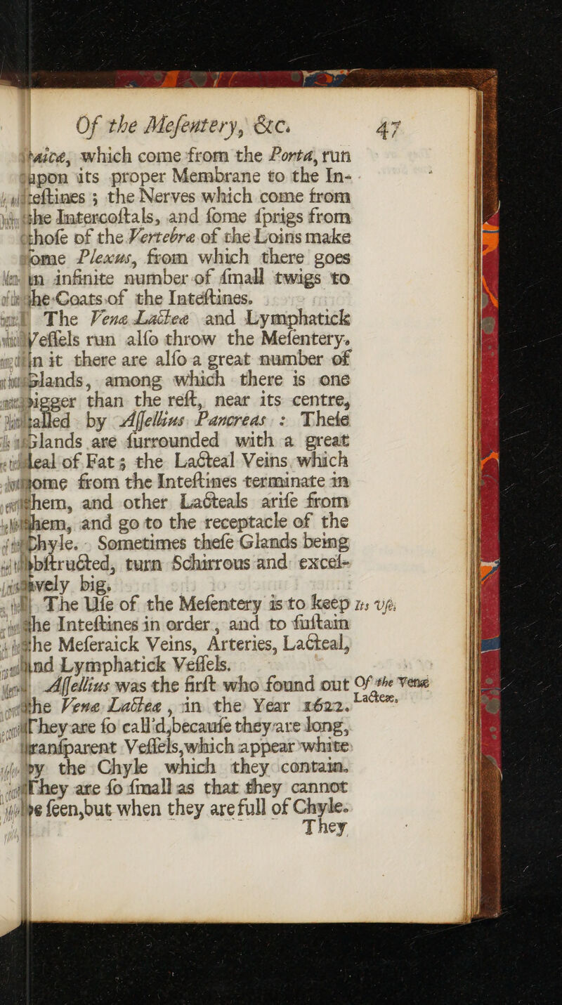 ‘aicé, which come from the Porta, run gpon its proper Membrane to the In- /yareftines 3 the Nerves which come from iavtthe dutercoftals, and fome {prigs from thofe of the Vertebre of the Loins make ome Plexus, from which there goes (a jn infinite number of dmall twigs to te ¢he-Goats.of the Inteftines. ml The Vene Lattee and Lymphatick wVefels run alfo throw the Mefentery. wtin it there are alfo-a great number of iultplands, among which there is one wiaaigger than the reft, near its centre, talled- by Alfelius Pancreas : Thete i yeclands are furrounded with a great ideal of. Fat; the Lacteal Veins. which yiome from the Inteftines terminate in «@i@hem, and other Laécteals arife from eiaem, and go to the receptacle of the (eDhyle. . Sometimes thefe Glands bemg wbbitruécted, tum Schirrous and: excel- jsanvely big, = = -4iahe Inteftines in order, and to fuitaim yahe Meferaick Veins, Arteries, Lacteal, +h god Lymphatick Veflels. (the Vere Lattee , in the Year 2622. qd hey are fo callid,becaute they-are long,  janfparent Veflels,which appear white ju by the Chyle which they contaim. «@ithey are fo fmall.as that they cannot ‘yulpe feen,but when they are full of — | ney,