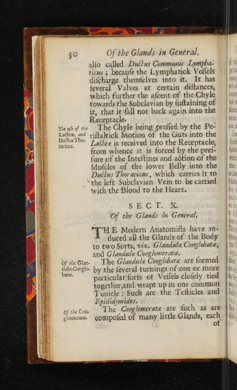 The ufe of the Latte, and Ductus Tho- HaClcus. Of the Glan- dulz Conglo. bate. Of the Con. glomerate. ricus ; becaufe the Lymphatick Veflels difcharge themfelves into it. It has feveral Valves at certain diftances, which further the afcent of the Chyle it, that it fall not back again into the Receptacle. The Chyle being prefied by the Pe- riftaltick Motion of the Guts into the Lattee is received into the Receptacle, from whence it is forced by the pref- fure of the Inteftines and aétion of the Mufcles of the lower Belly into the Duttus Thor acicus , which carries it to the left Subclavian Vein to be carried ‘with the Blood to the Heart. 2.9! Sol Oe tk otk Of the Glands m General. TH E Modern Anatomifts have. re- £ duced all the Glands of the Body to two Sorts, viz. Glandule Conglobate; and Glandule Conglomerate. The Glandule Conglobate are formed. by the feveral turnings of one or more particular forts of Vedlels clofely, tied together,and. wrapt up in one common Tunicle ; Such are the Tefticles and Epididymides. compofed of many little Glands, each of