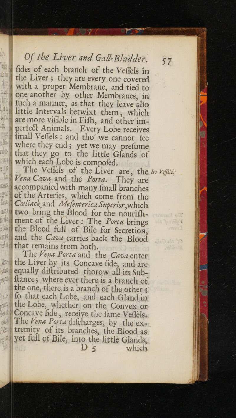  W fides of each branch of the Veffels in »_@ the Liver ; they are every one covered | with a proper Membrane, and tied to One another by other Membranes, in “@ fuch a manner, as that they leave alfo vf little Intervals betwixt them, which ‘are more vifible in Fifh, and other im- i perfect Animals, Every Lobe receives “@ {mall Veffels: and tho’ we cannot tee | where they end; yet we may prefume “i @ that they go to the little Glands of H) which each Lobe is compofed. is). The Veflels of the Liver are, the Vena Cava and.thé Porta. They are i) accompanied with many finall branches () of the Arteries, which come from the NI Ceeliack and Mefenterica Superior,which \4f) two. bring the Blood for the nourifh- ule ment of the Liver: The Porta brings ‘4 the Blood full. of Bile for Secretion, niill and the Cava carries back the Blood (04 that remains from both. The Vena Portaand the Cavaenter (sh) the Liver by. its Concave fide, and are stil equally dittributed thorow allts Sub- apt {tances where ever there is a branch of \ the one, there. is a branch of the other ; \fo that each Lobe, and each Gland.in viii the Lobe, whether on the Convex. or bf Concave fide, receive the fame Veflels. |) The Vena Porta dilcharges, by the ex- ‘i tremity of its branches, the Blood.as. t}-yet full of Bile, into the little Glands, )s which