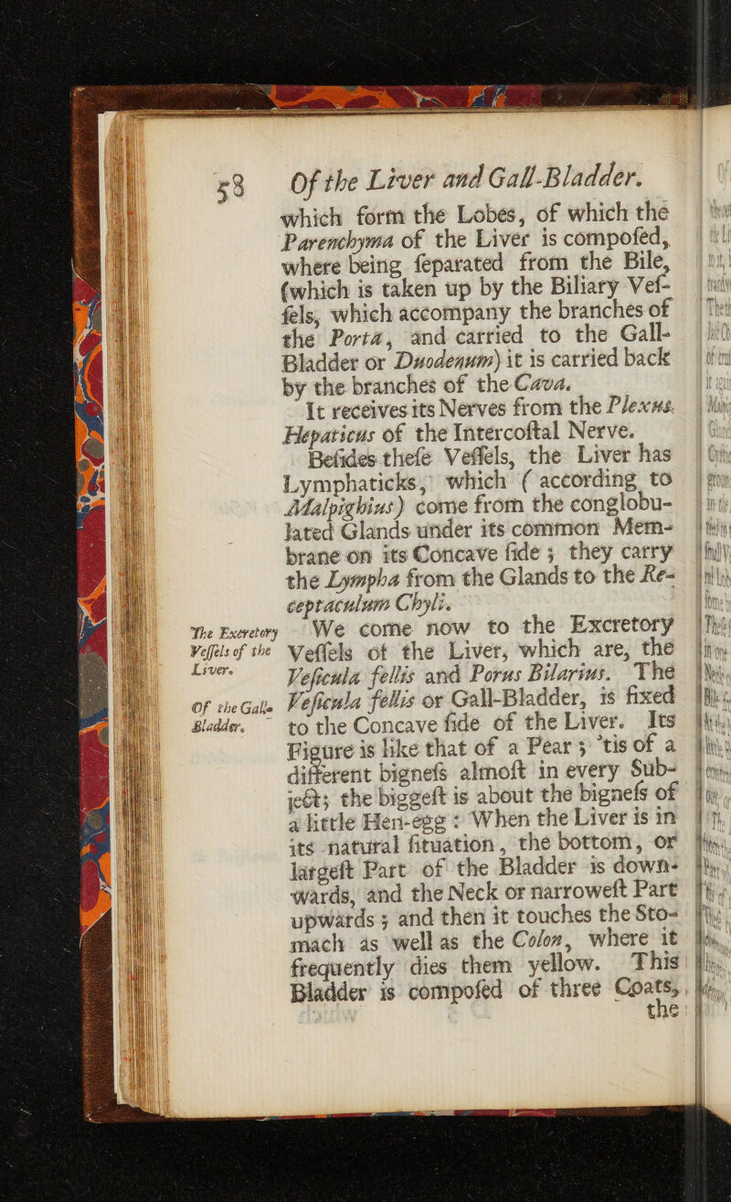 which form the Lobes, of which the Parenchyma of the Liver is compofed, where being feparated from the Bile, (which is taken up by the Biliary Vef- fels, which accompany the branches of the Porta, and carried to the Gall- Bladder or Duodenum) it is carried back by the branches of the Cava. It receives its Nerves from the Plexxs. Heparicus of the Intercoftal Nerve. Befides thefe Veffels, the Liver has Lymphaticks, which (according to Atalpighins) come from the conglobu- lated Glands under its common Mem- brane-on its Concave fide 5 they carry the Lympha from the Glands to the Ke- ceptaculam Chyli, We come now to the Excretory Veflels of the Liver, which are, the Veficula fellis and Porus Bilarius. The Vefieula felis or Gall-Bladder, 1s fixed to the Concave fide of the Liver. Its Pigure is ike that of a Pear 3 ‘tis of a diferent bignefs almoft in every Sub- je6t; the biggeft is about the bignefs of a fittle Hen-ege + When the Liver is in ite natural firuation, the bottom, or largeft Part of the Bladder is down- wards, and the Neck or narroweft Part upwards ; and then it touches the Sto- mach as wellas the Co/oz, where it frequently dies them yellow. This Bladder is compofed of three Coats, the The Exeretory Veffels of the OF the Galle &amp; la ad Eo
