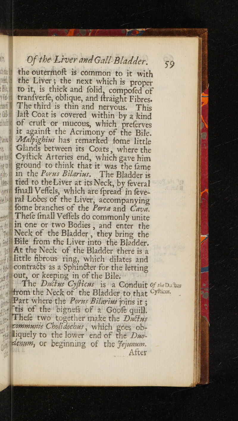 inf! the outermoft is common to it with i) the Liver; the next which is proper bil to it, is thick and folid, compofed of (4 tranfverfe, oblique, and ftraight Fibres. ist) The third is thin and nervous. This ila) Taft Coat is covered within by a kind it! of cruft-or mucous, which preferves ) it againft the Acrimony of the Bile. wu) Adalpighins has’ remarked fome little i, § Glands between its Coats, where the ais Cyftick Arteries end, which gave him #0) ground to think that it was the fame iW In the Porus Bilarius. The Bladder is ml tied to theLiver at its Neck, by feveral onl fall Veffels, which are fpread in feve- loll ral Lobes of the Liver, accompanying i fome branches of the Porta and Cava. ei’), Thefe fmall Veflels do commonly unite iin one or two Bodies, and enter the ‘wilNeck of the Bladder , they bring the it Bile from the Liver into the Bladder. yw At the Neck of the Bladder there is a jelittle fibrous ting, which’ dilates and jp@eontracts as a SphinGter for the letting «{@out, or keeping in of the Bile: iM qwebart where the Porzs Bilarins joins it 3 inf tis of the bignefS of a Goofe quill. ‘st Ehefe two together make the Dultus (Weommunes Cholidochus , which gdes ob- “sealiquely to the lower end of thé’ Dzo- ,wuenam, or beginning of the Fejunum. | After