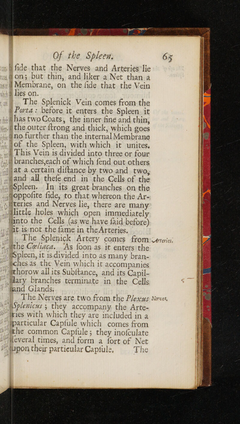 ey, 1a Of the Spleen. a fide.that the Nerves and Arteries lie wi ON; but thin, and liker a Net than a wf Membrane, on the fide that the Vein ich @ Lies on. The Splenick Vein comes from the | Porta: before it enters the Spleen. it ¢@ has twoCoats, the inner fine and thin, jg. @ the outer {trong and thick, which goes ,@no.further than the internal Membrane fof the Spleen, with which it unites, wt 1 His Vein is divided into three or four fila) branches,each of which fend out others J ;at.a.certain diftance by two.and two, , (@and all thefe end in the Cells of the ui@spleen. In: its great branches on the §oppofite fide, to that whereon the Ar- »aiteries and Nerves lie, there are many alittle holes which open immediately into the Cells (as we have faid before) » (at. isnot the fame in the Arteries. i). The Splenick Artery comes from nuthe Celiaca. ‘As foon.as. it enters the 1), @pleen, it is divided into as many bran-  aatches as the Vein which it accompanies »jithorow all its Subitance, and its Capil-  glary branches terminate in the Cells ) fand Glands. The Nerves are two from the Plexus \ MSplenicus ; they accompany. the Arte- bv gries with which they are included in a I Wparticular Capfule which comes from athe common Capfule; they inofculate JM iteveral times, and form a fort of Net I (upon their partieular Captule, The wAYEEY1 E35 NerveS,