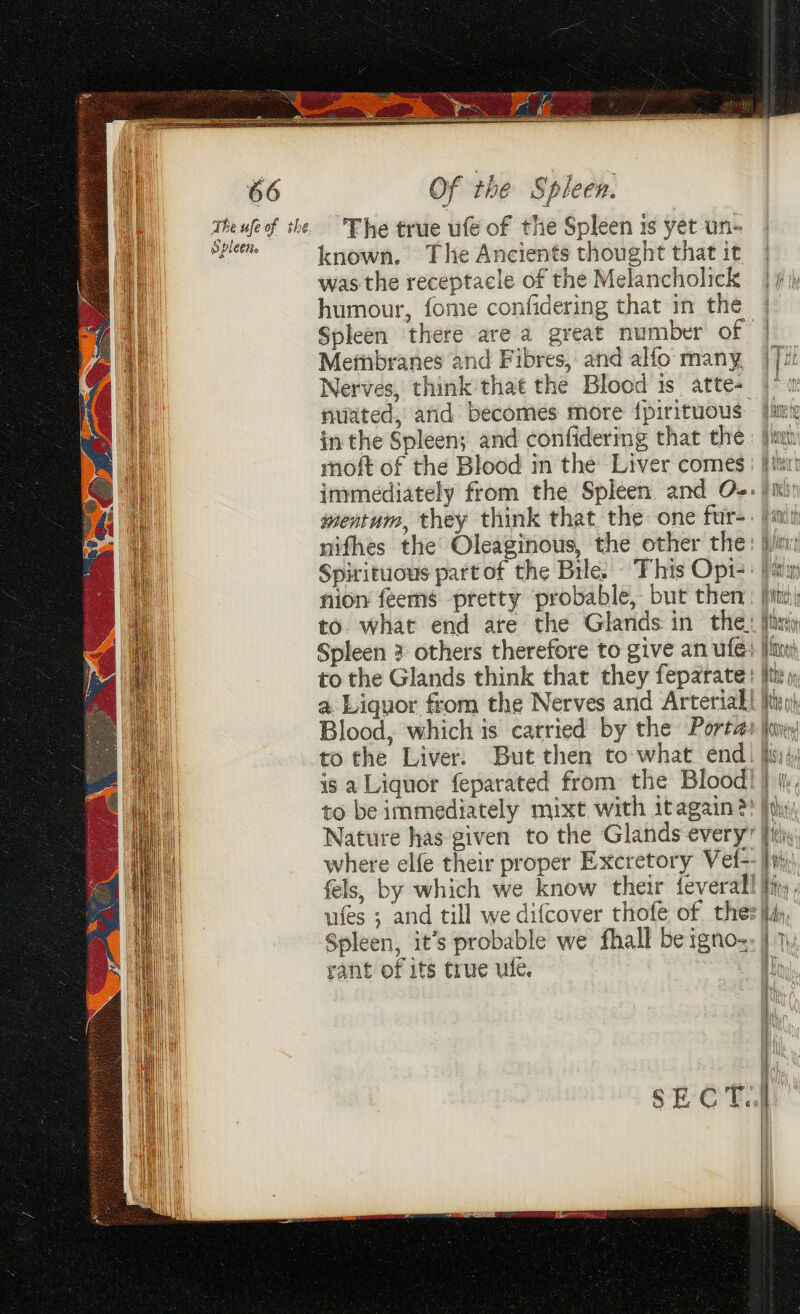 The ufe of the Spleen. Of the Spleen. The true ufe of the Spleen is yet un- known. The Ancients thought that it was the receptacle of the Melancholick |) humour, fome confidering that in the Spleen there are a great number of | Membranes and Fibres, and alfo many, | Nerves, think that the Blood is atte- | riuated, and becomes more {pirituous [rg in the Spleens and confidering that the: jie moft of the Blood in the Liver comes) #itir immediately from the Spleen. and O-+ jm mentum, they think that the one fur-. Jin nifhes the Oleaginous, the other the: (ie Spirituous part of the Bile. This Opt-: ) tm nion feems pretty probable, but then jini to what end are the Glands in the: tin Spleen 3 others therefore to give an ufe: jim) to the Glands think that they feparate: th a. Liquor from the Nerves and Arterial! Ite) Blood, which is carried by the Portas \i to the Liver: But then to what end fy; is a Liquor feparated from the Blood! } \j;, to be immediately mixt with itagain?? |g, Nature has given to the Glands every” fi; where elfe their proper Excretory Vef-- ij; fels, by which we know their feverall My, ufes ; and till we difcover thofe of thee My, Spleen, it’s probable we fhall be igno-, |) 1, rant of its true ufe. Th ay } 194 dayh Ne 4 : be : Vee 4 . } 1% i i} aw | i i SECT.